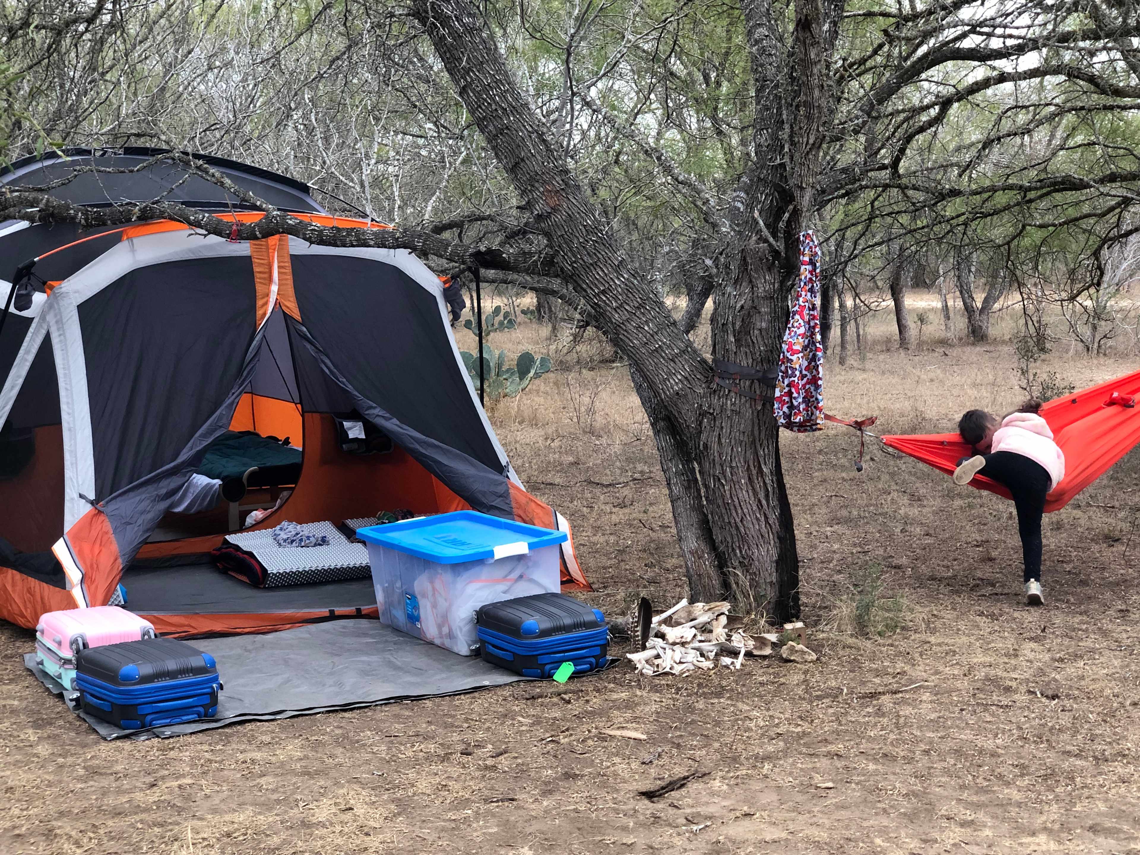 Tent and hammock 