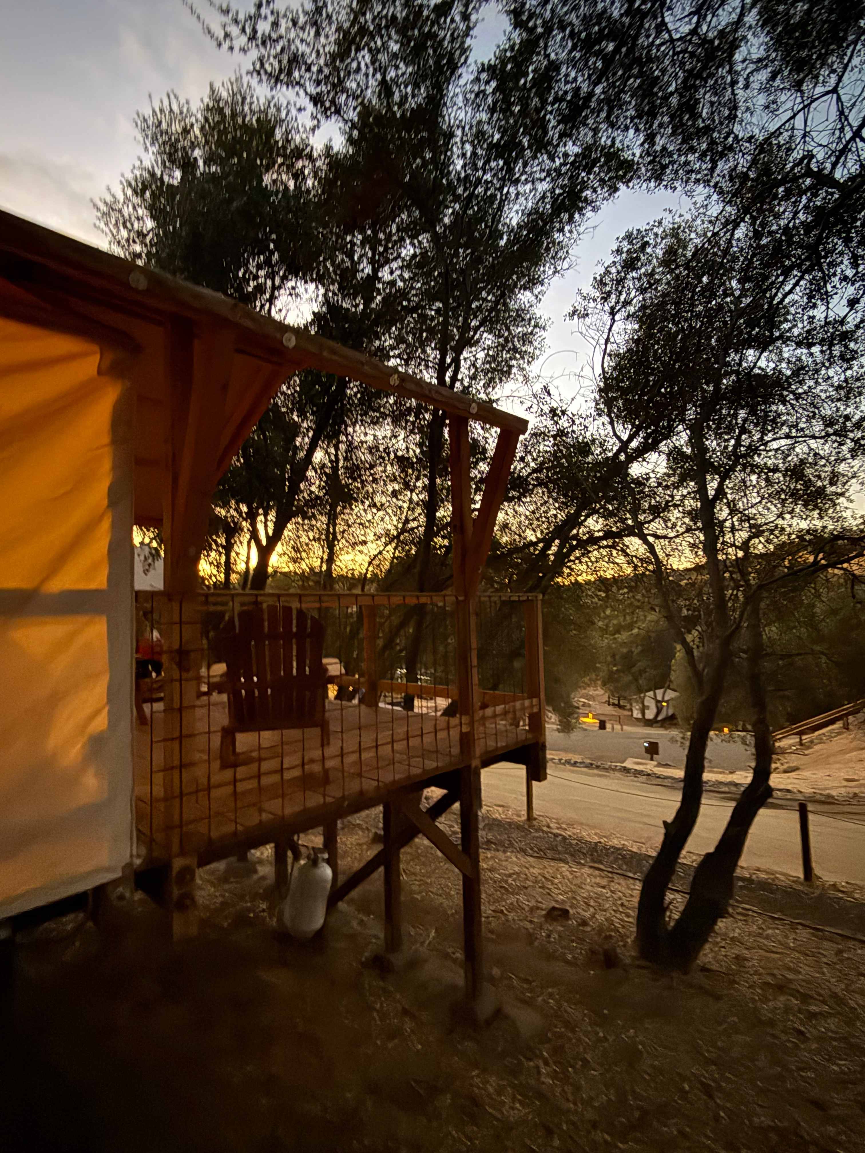 Beautiful private decks and trees 