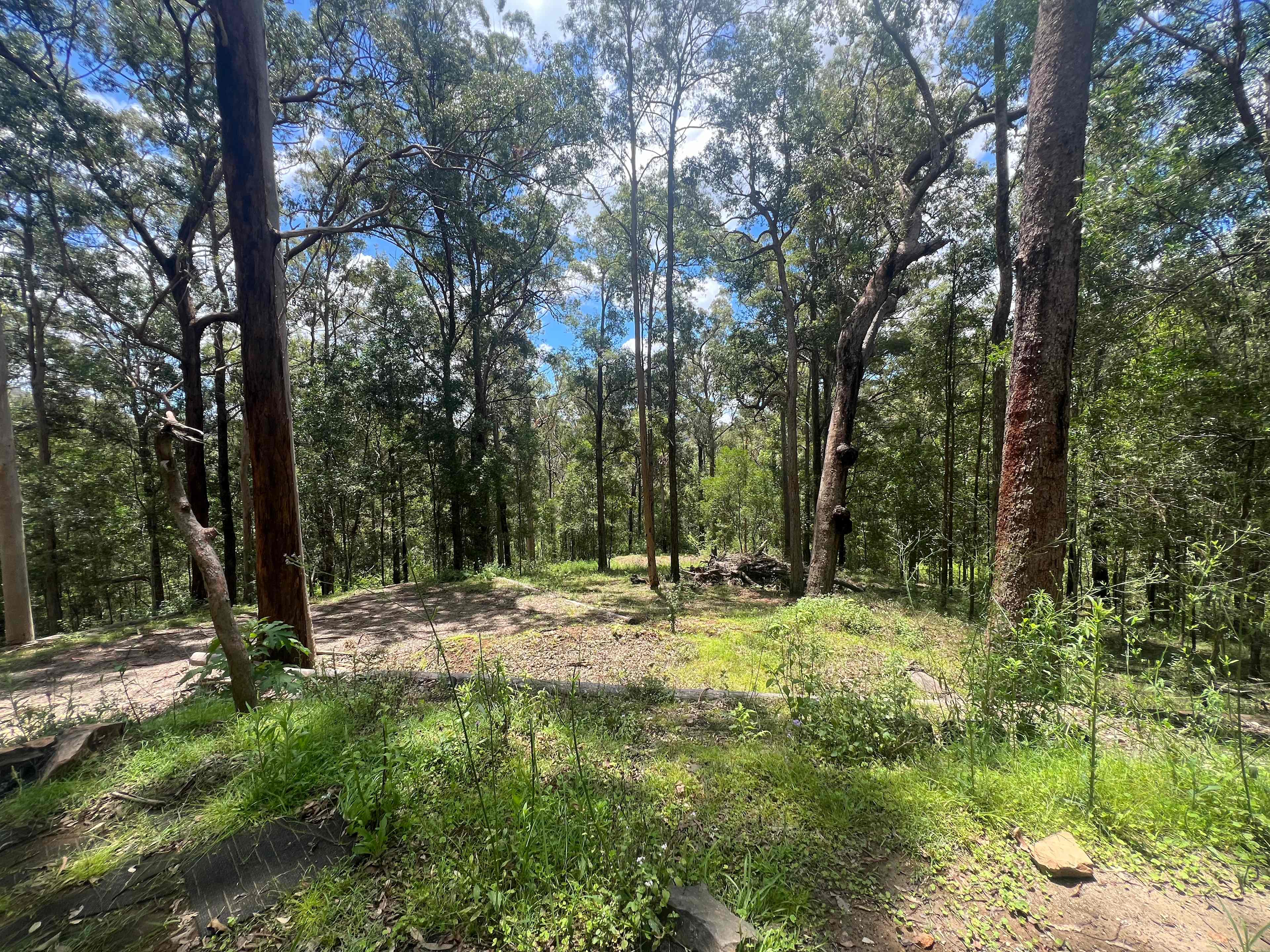 Forest Nook