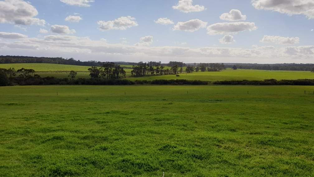 Paddock Sites