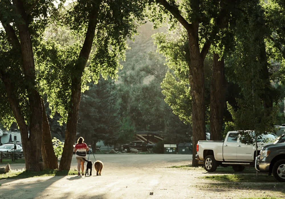 Riverview RV Park and Campground