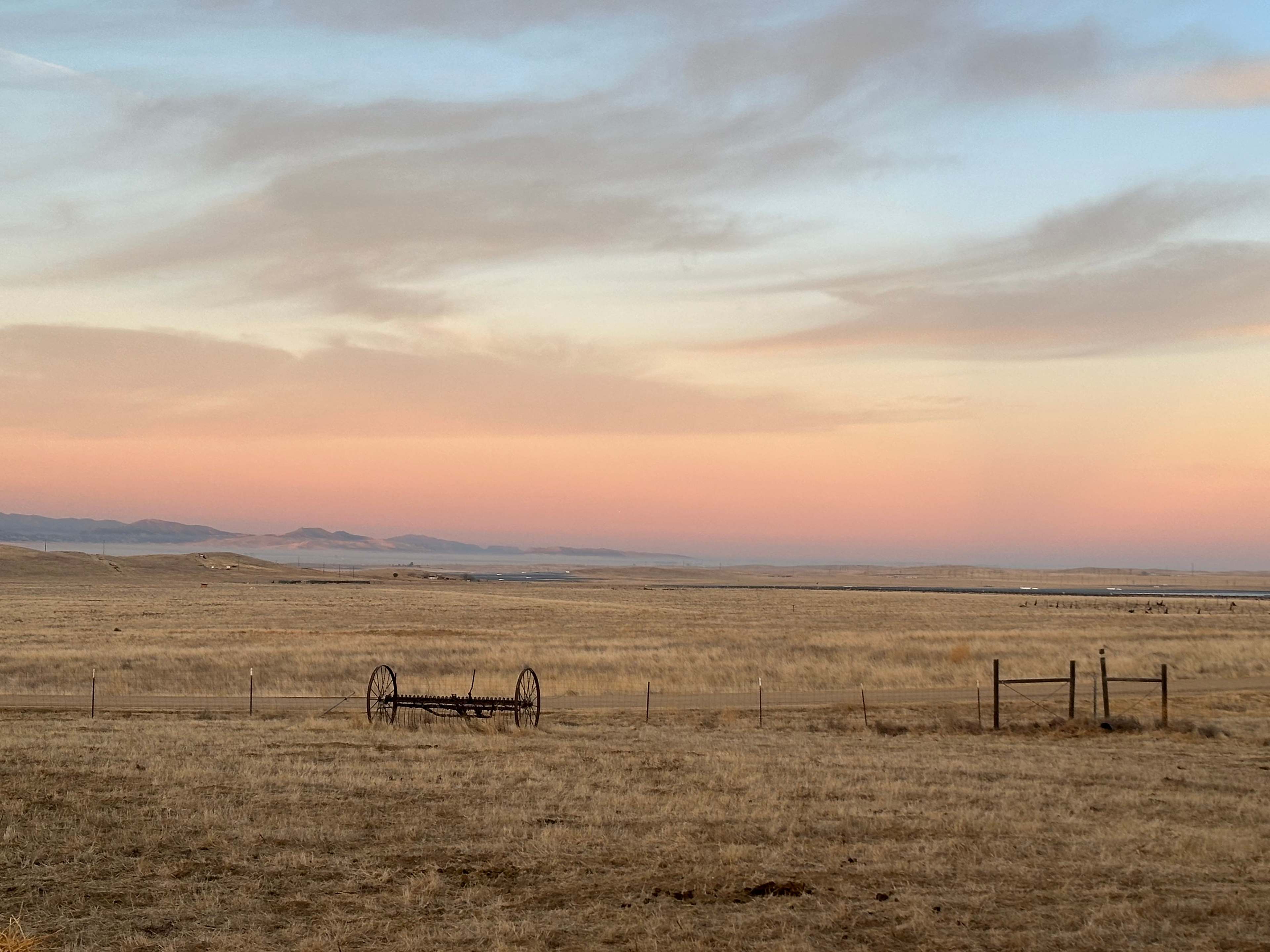Wild Winds Rescue Ranch