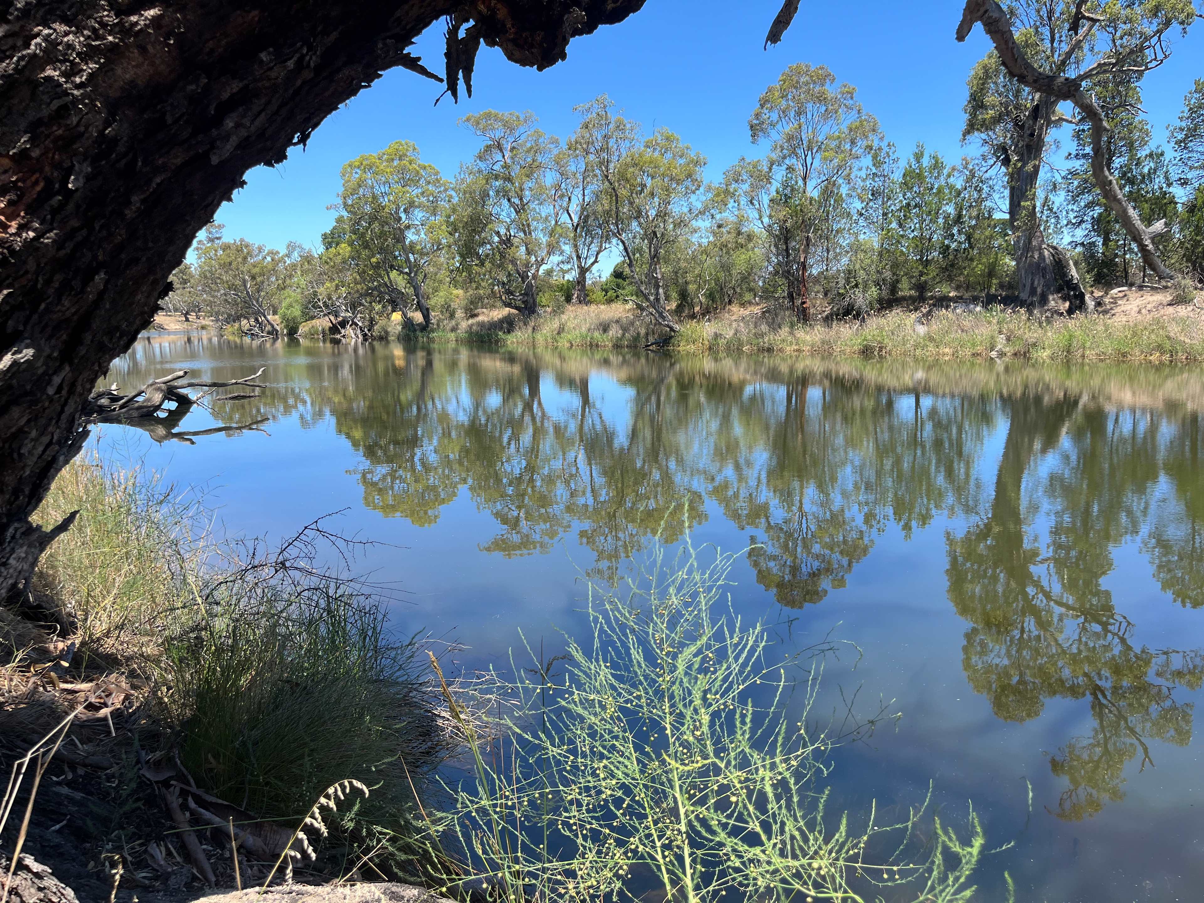 Wimmera River Heights