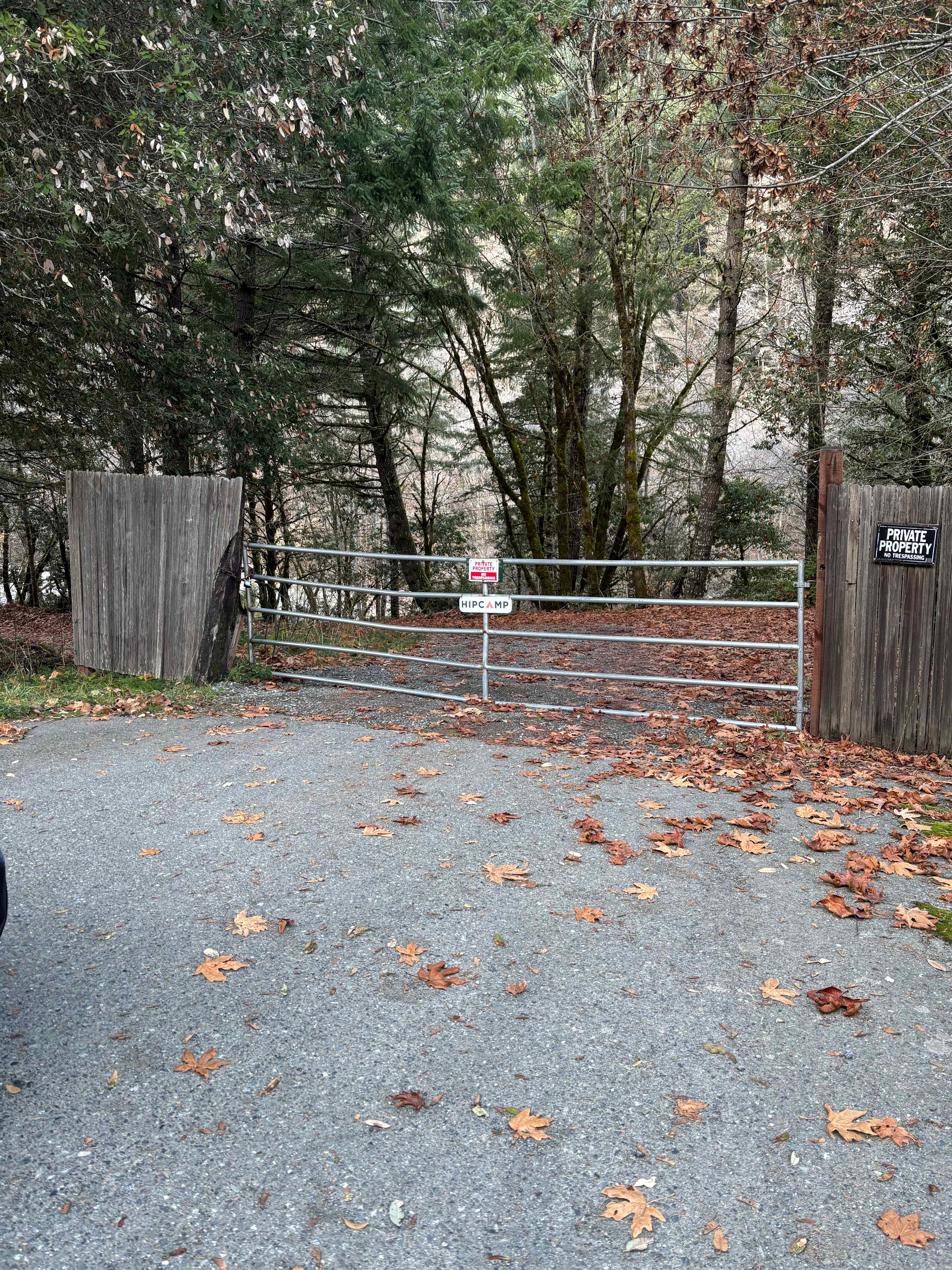 Picture of the site
