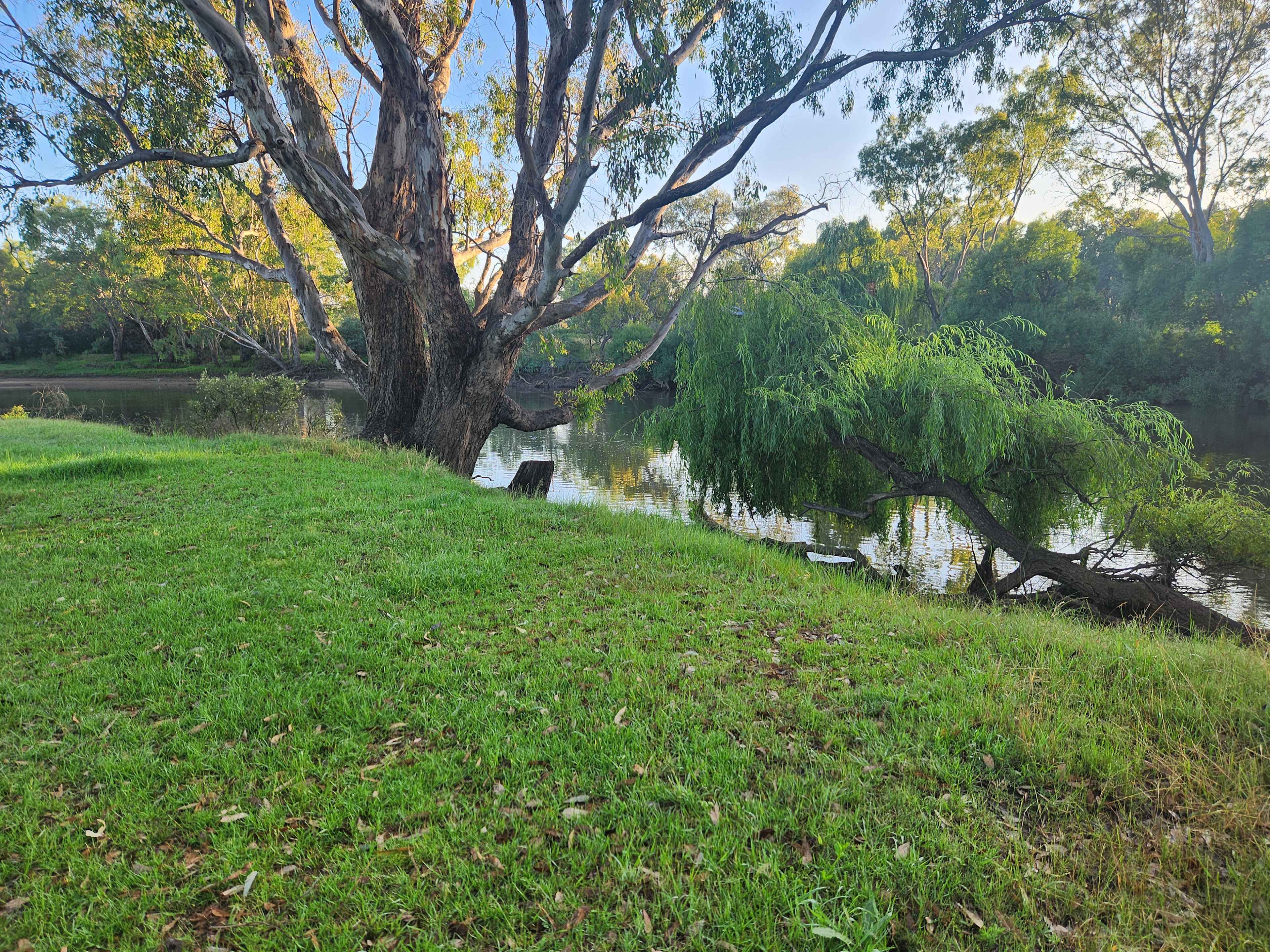Willowbank on the Murray
