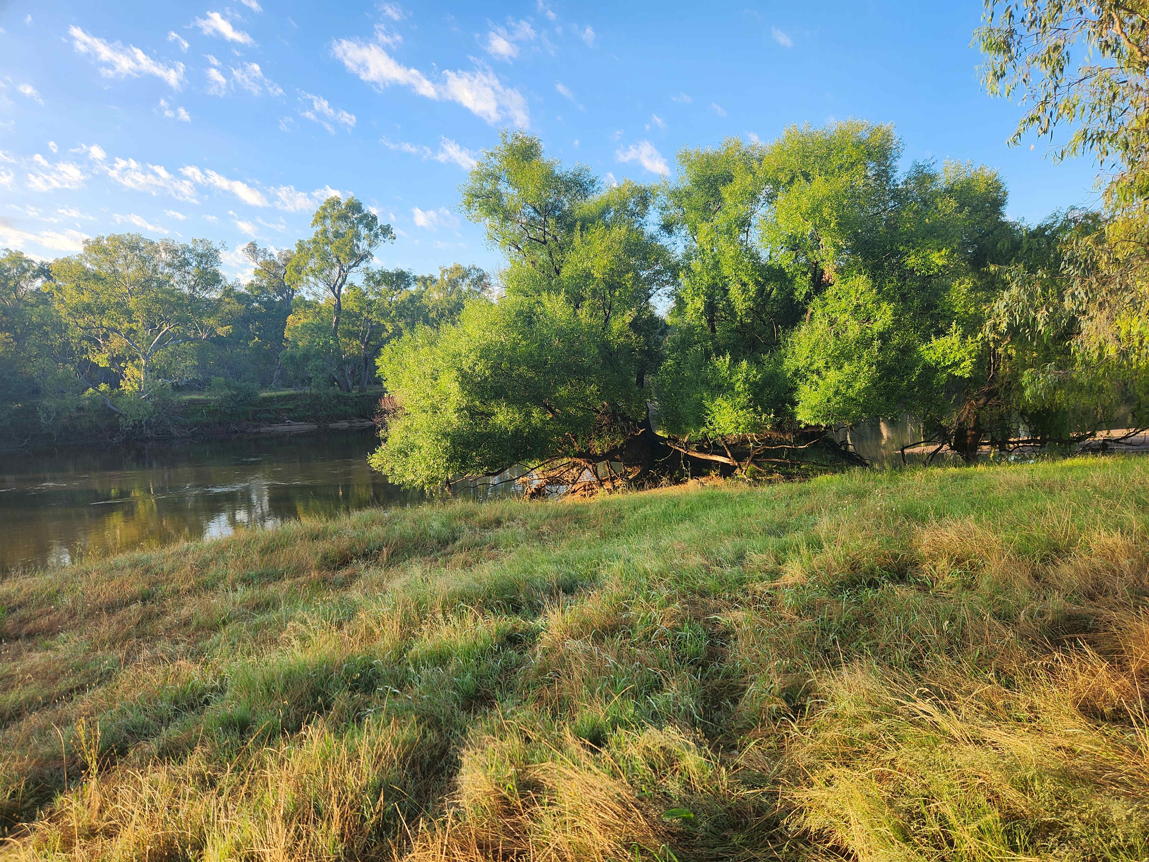 Willowbank on the Murray