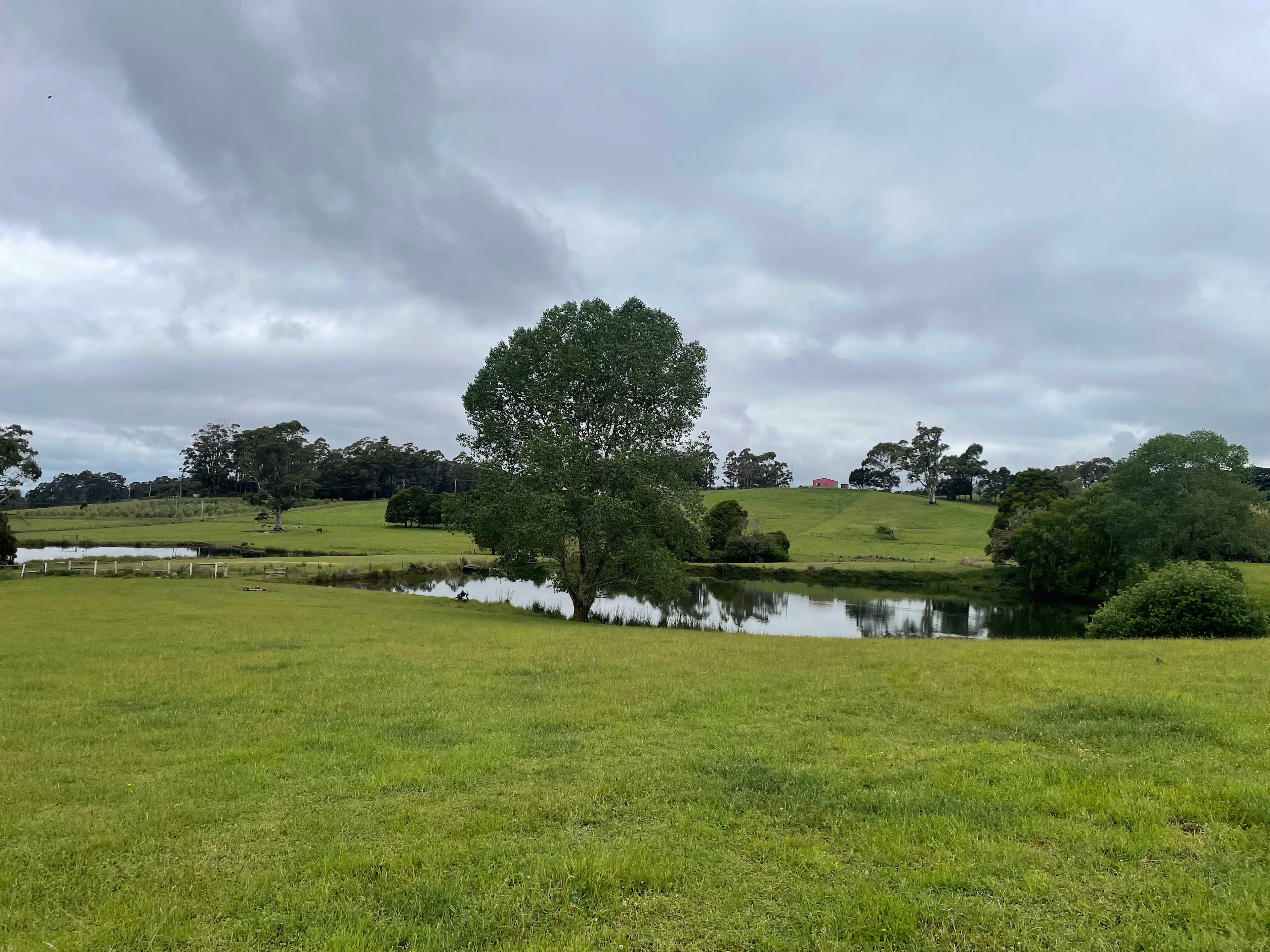 Shep’s Farm
