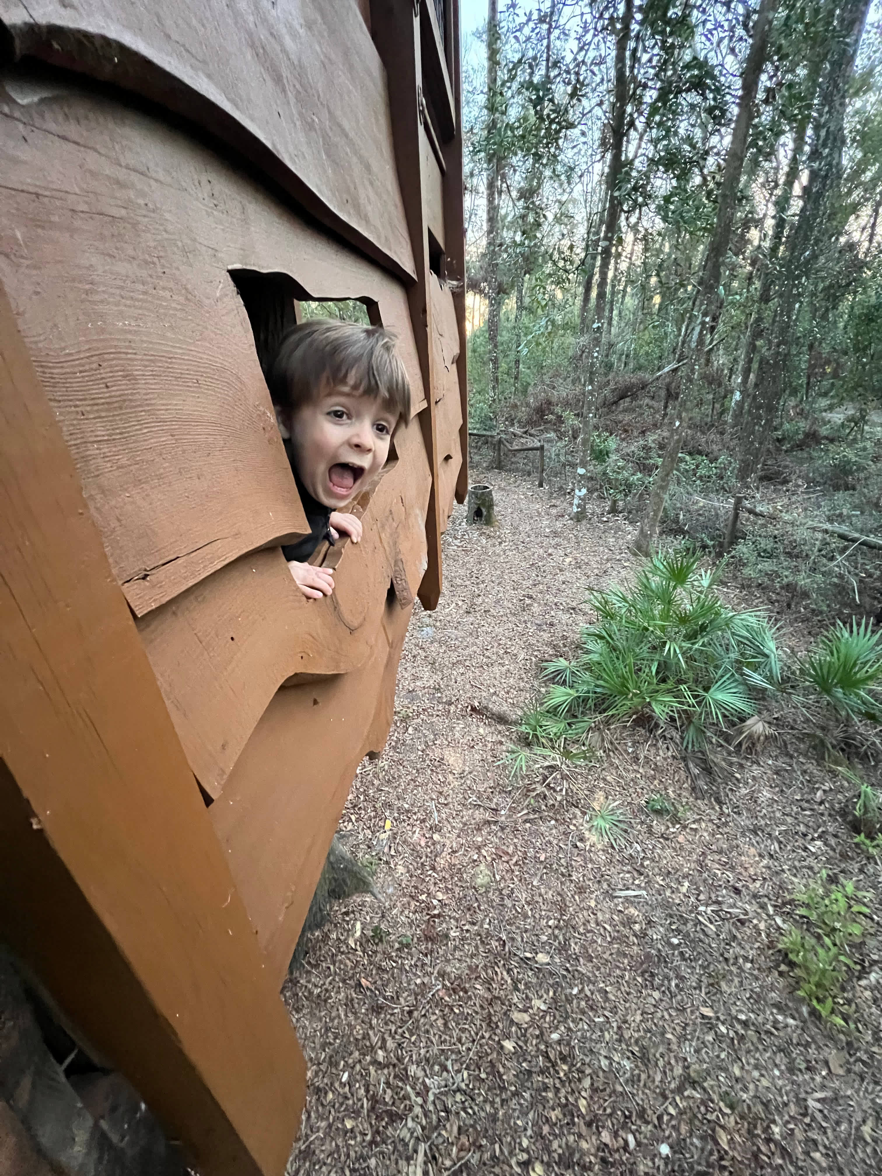 Treehouse Cabin Retreat - Florida