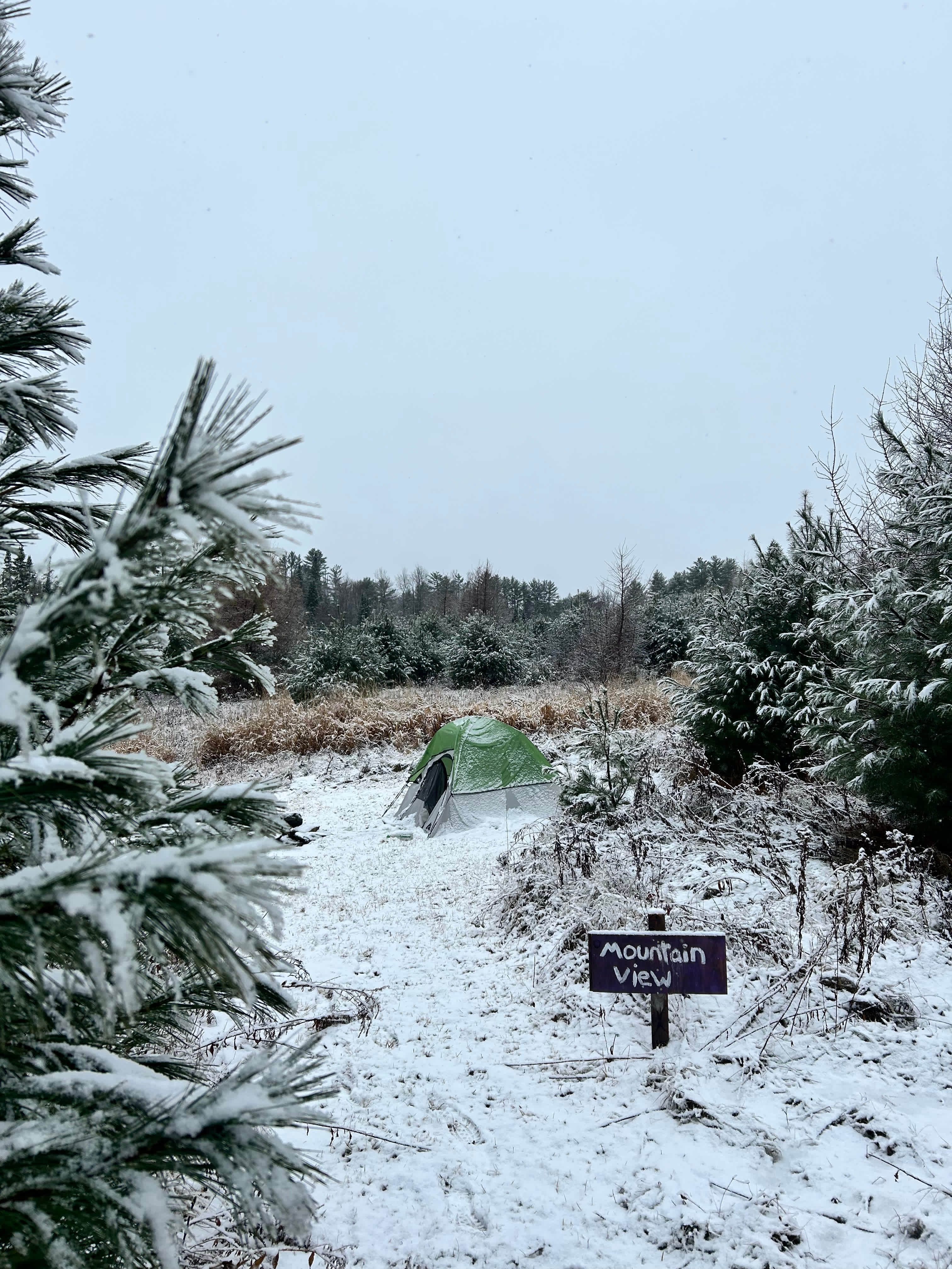 Wandering Pines Camping