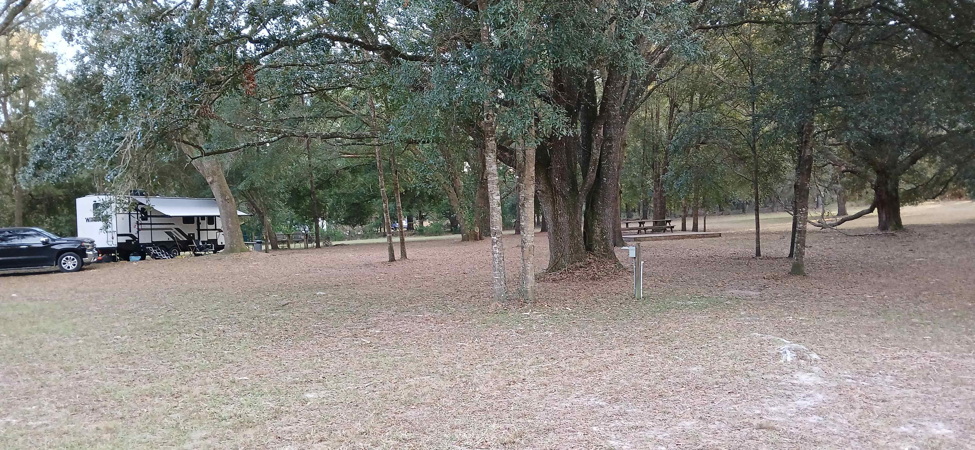 Spacious Oak Hammock