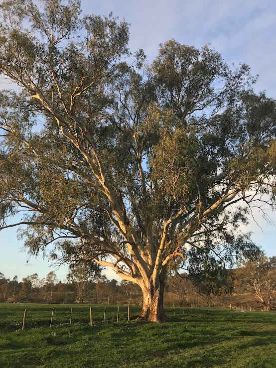 Rolling Hills & Riverside Camping