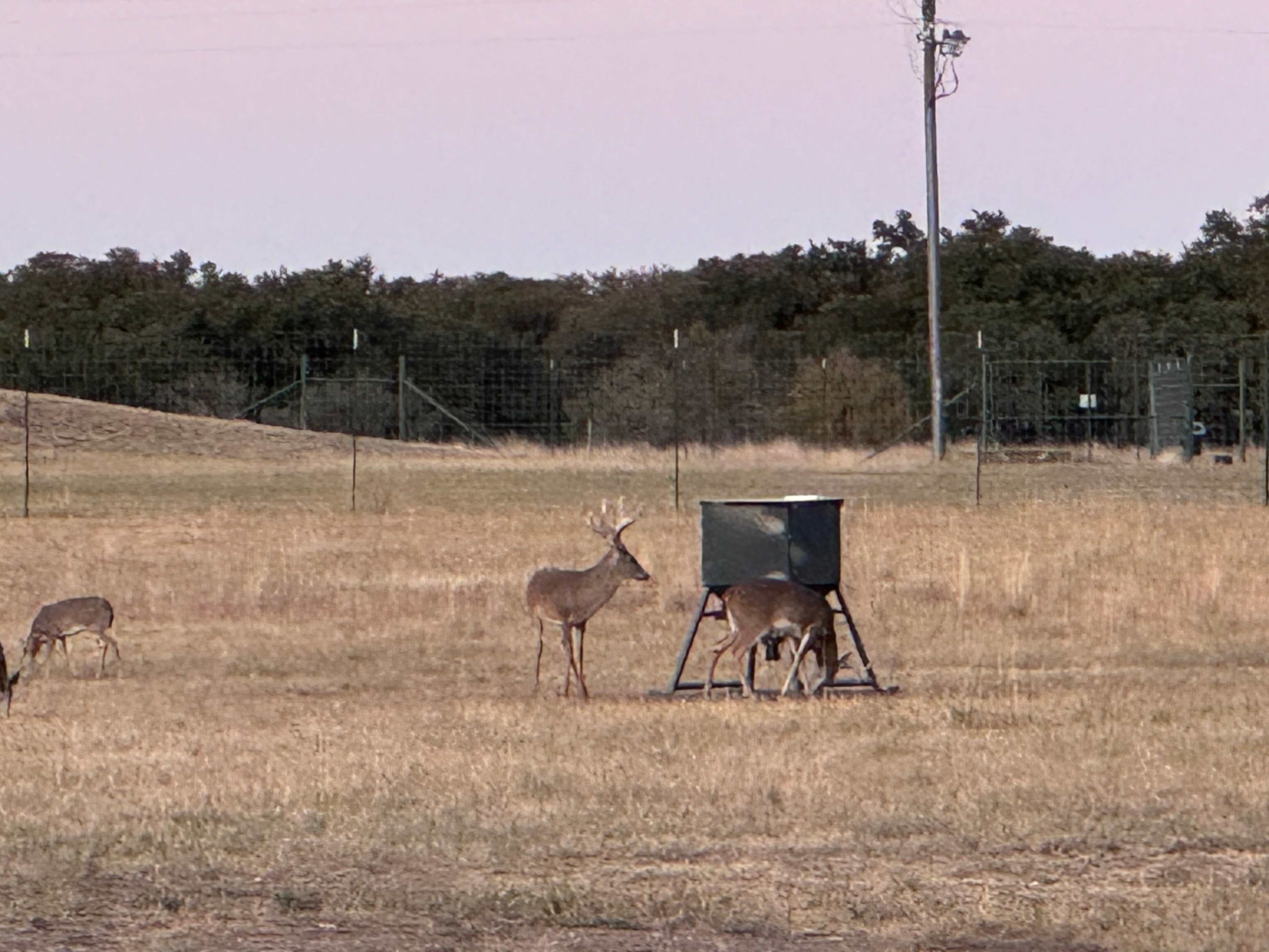 Beautiful wildlife too!