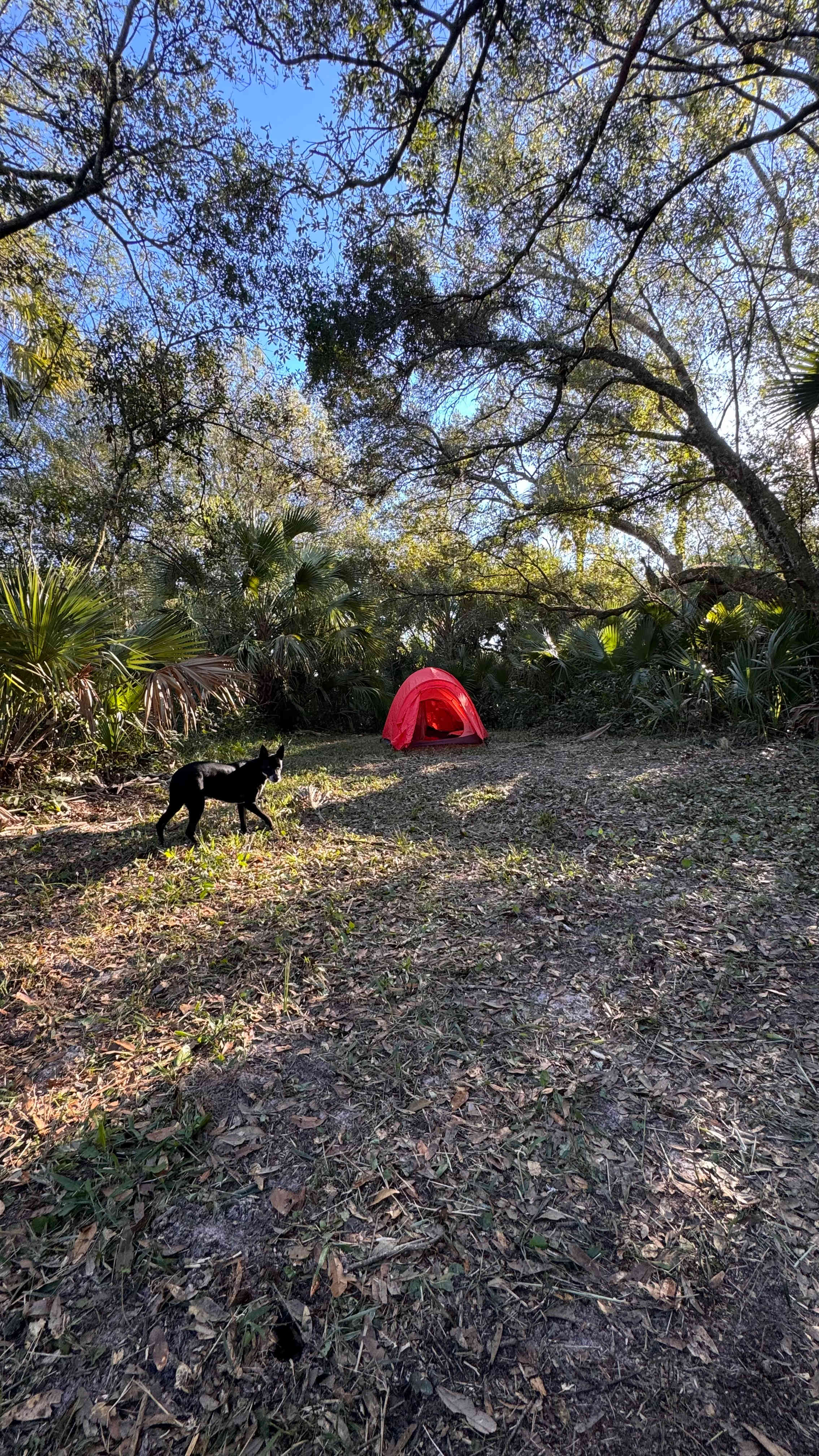 Saint Lucie Farm Preserve