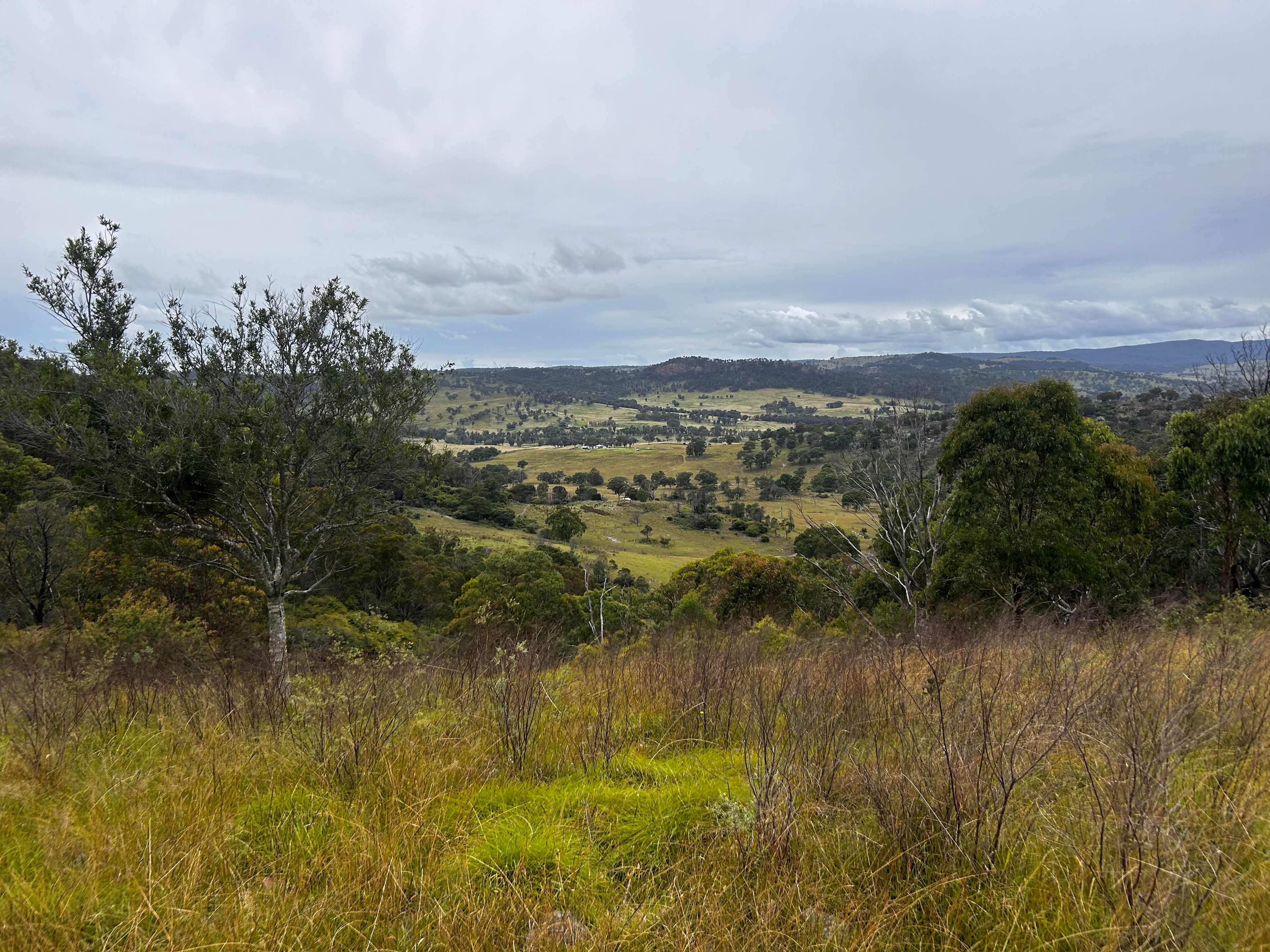 Craigview