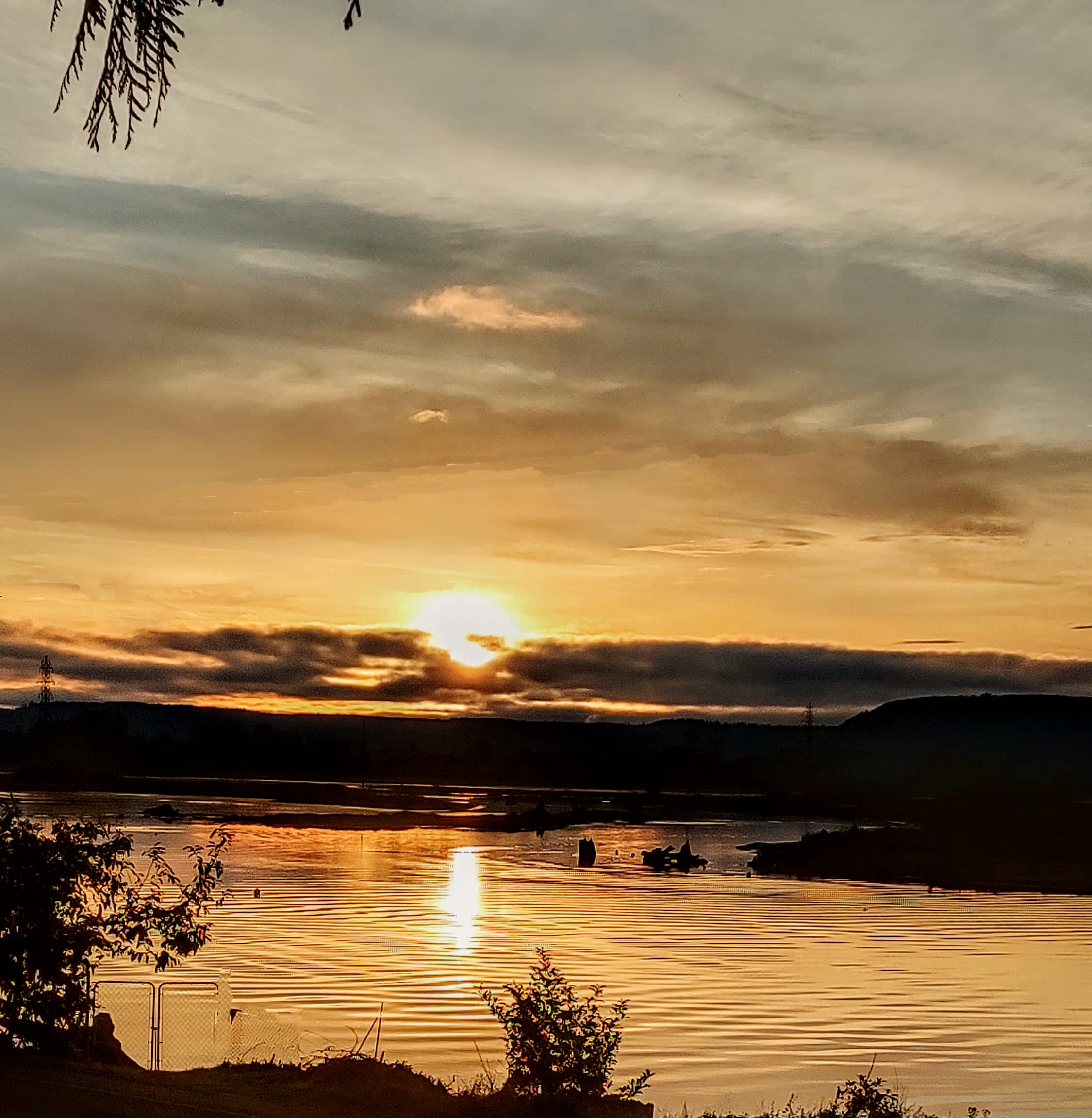 Fischer's Place on the Estuary