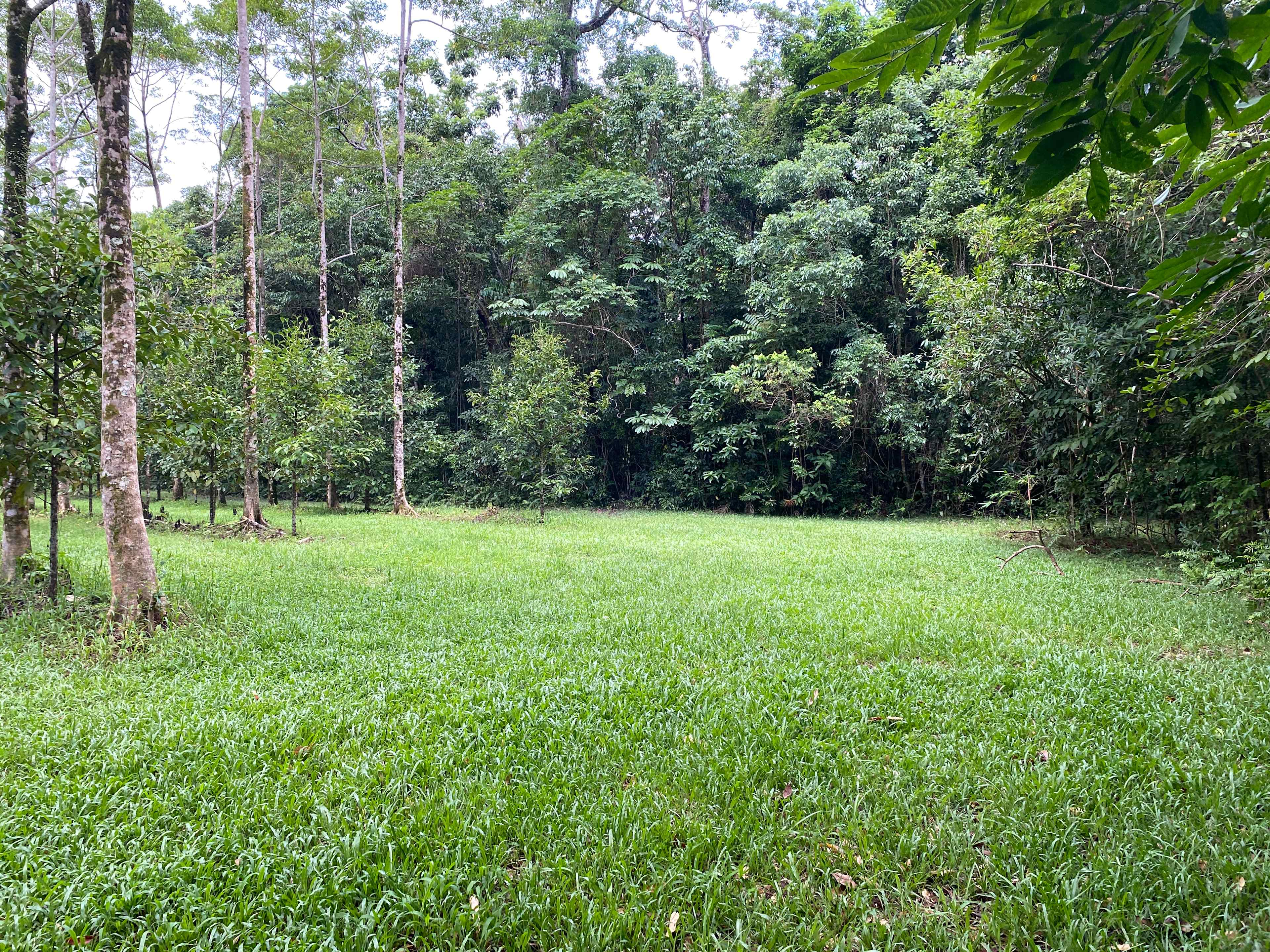 Platypus Hole campsite