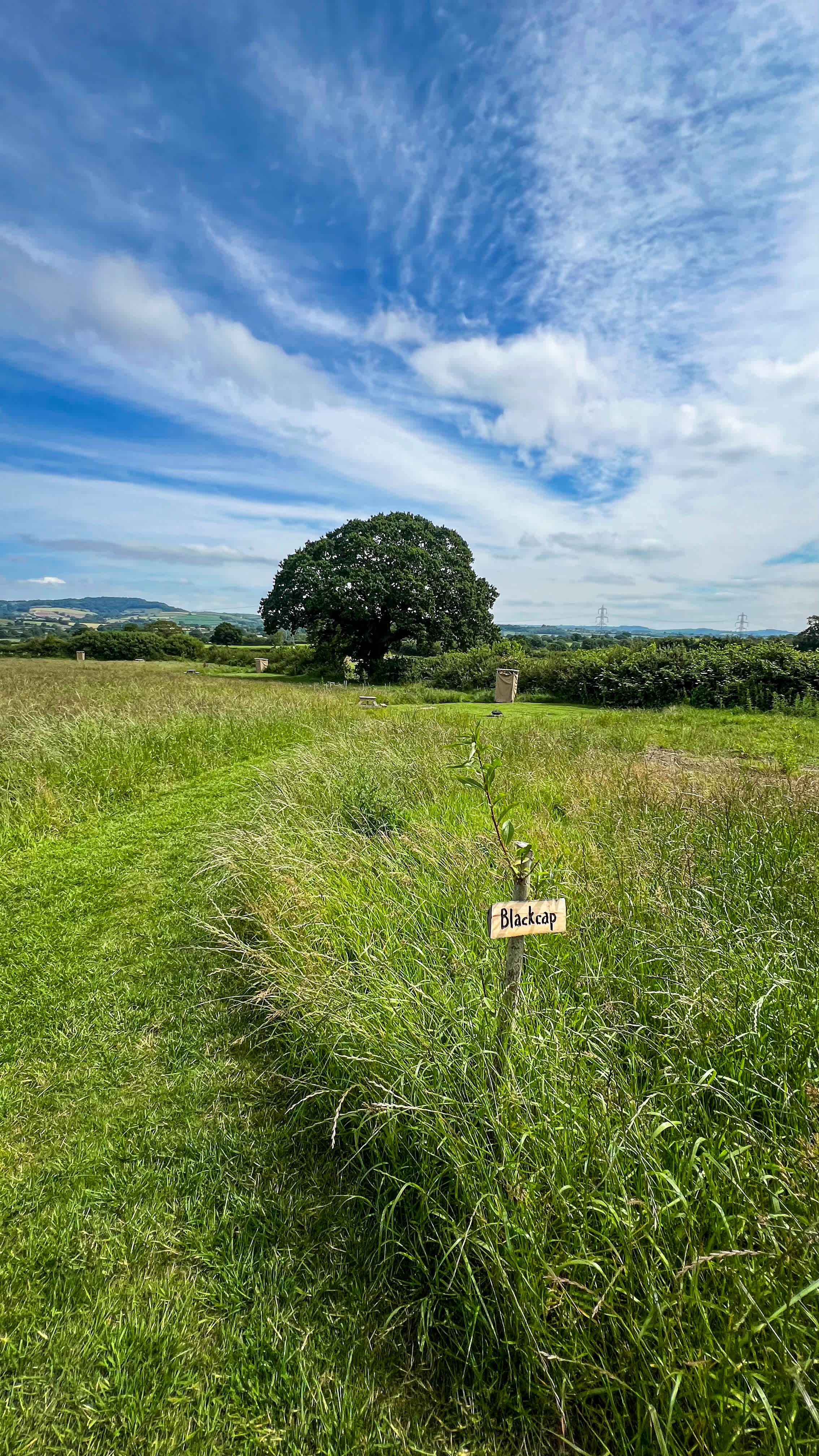 Coppet Hill