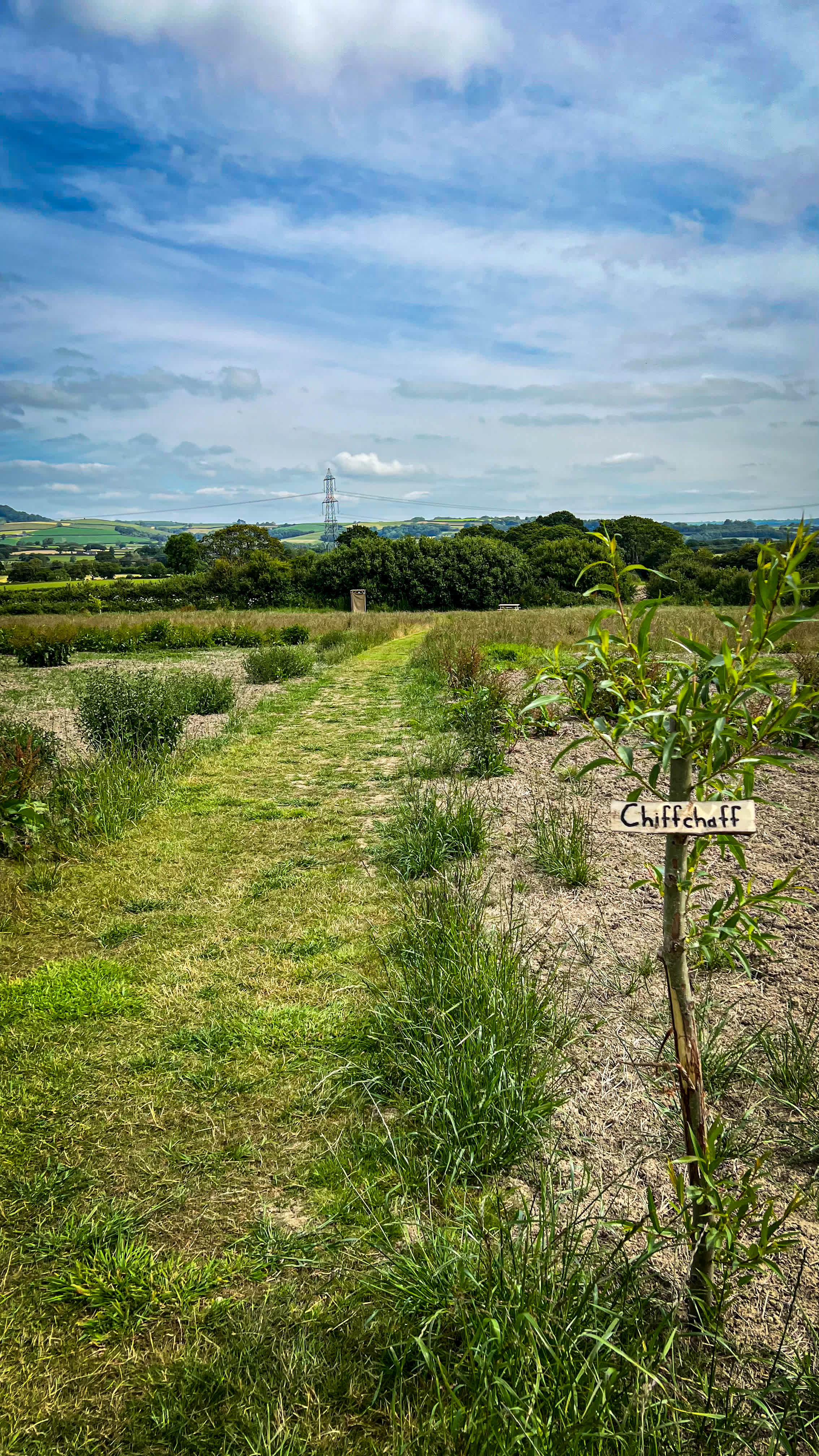 Coppet Hill