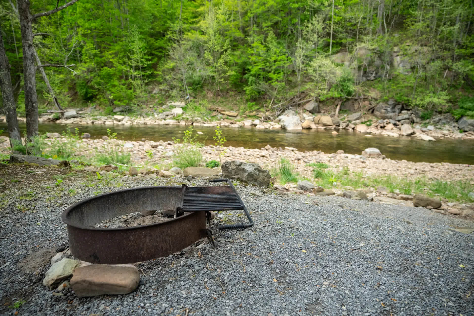 Picture of the site