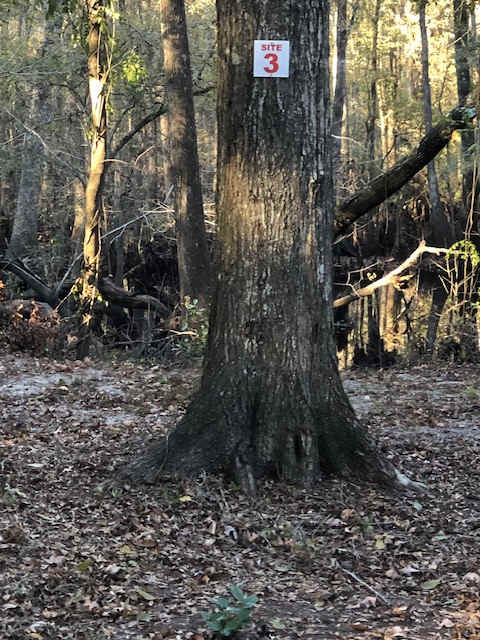 Blacks Fish Camp