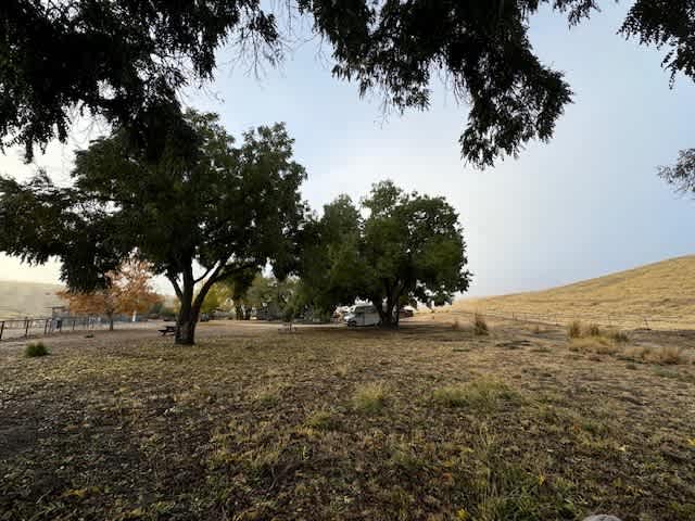 Historical Almond Springs!