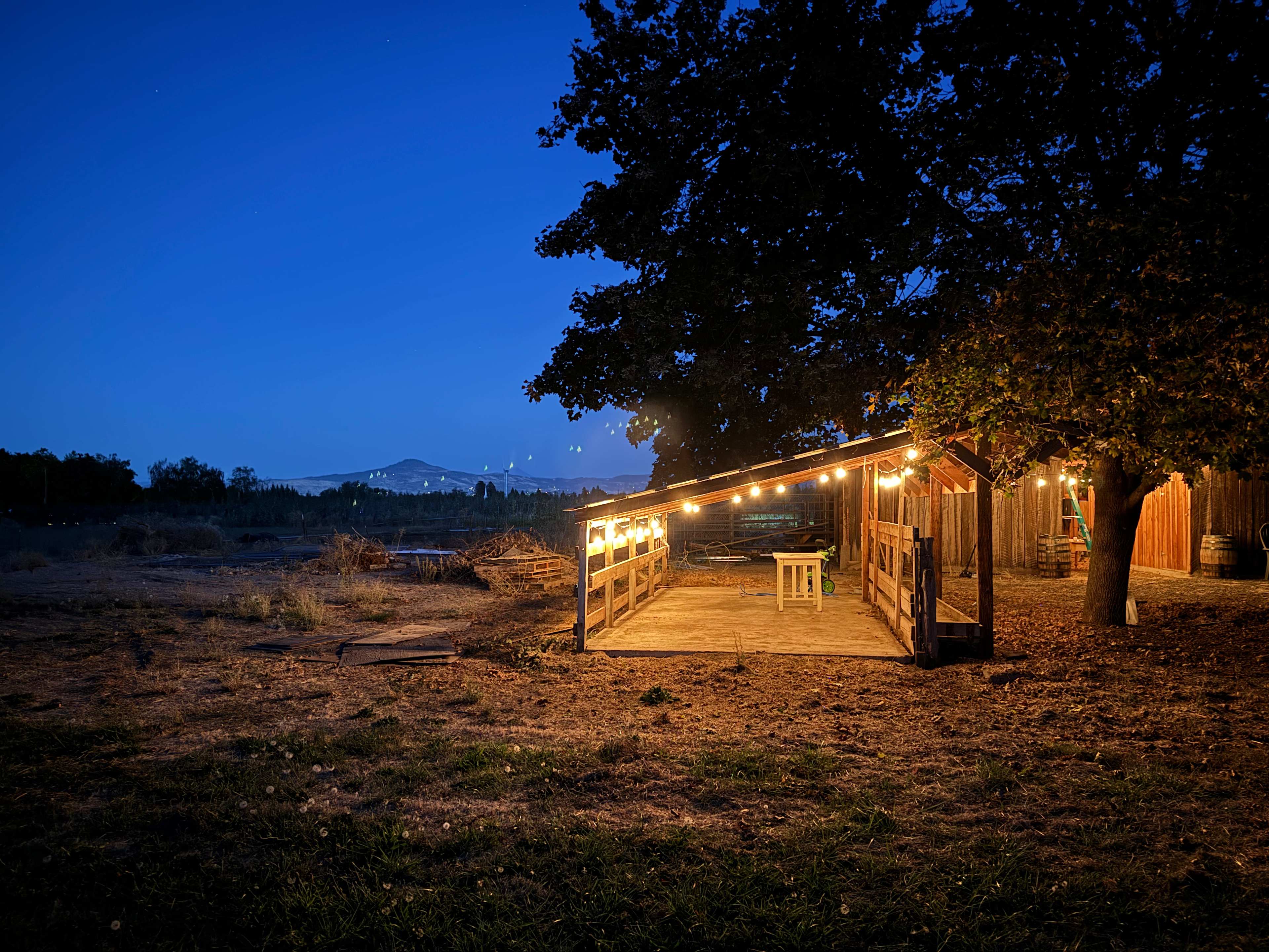 Wild Hare Farms