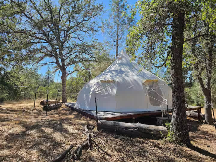Treehouse Geodome In The Sierras