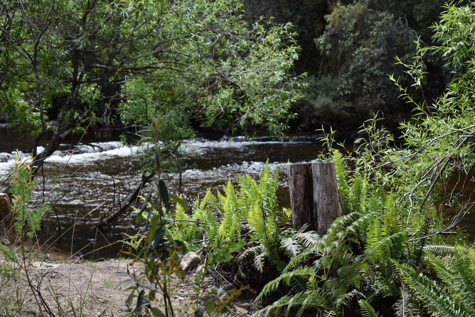 Russell Falls Holiday Cottages