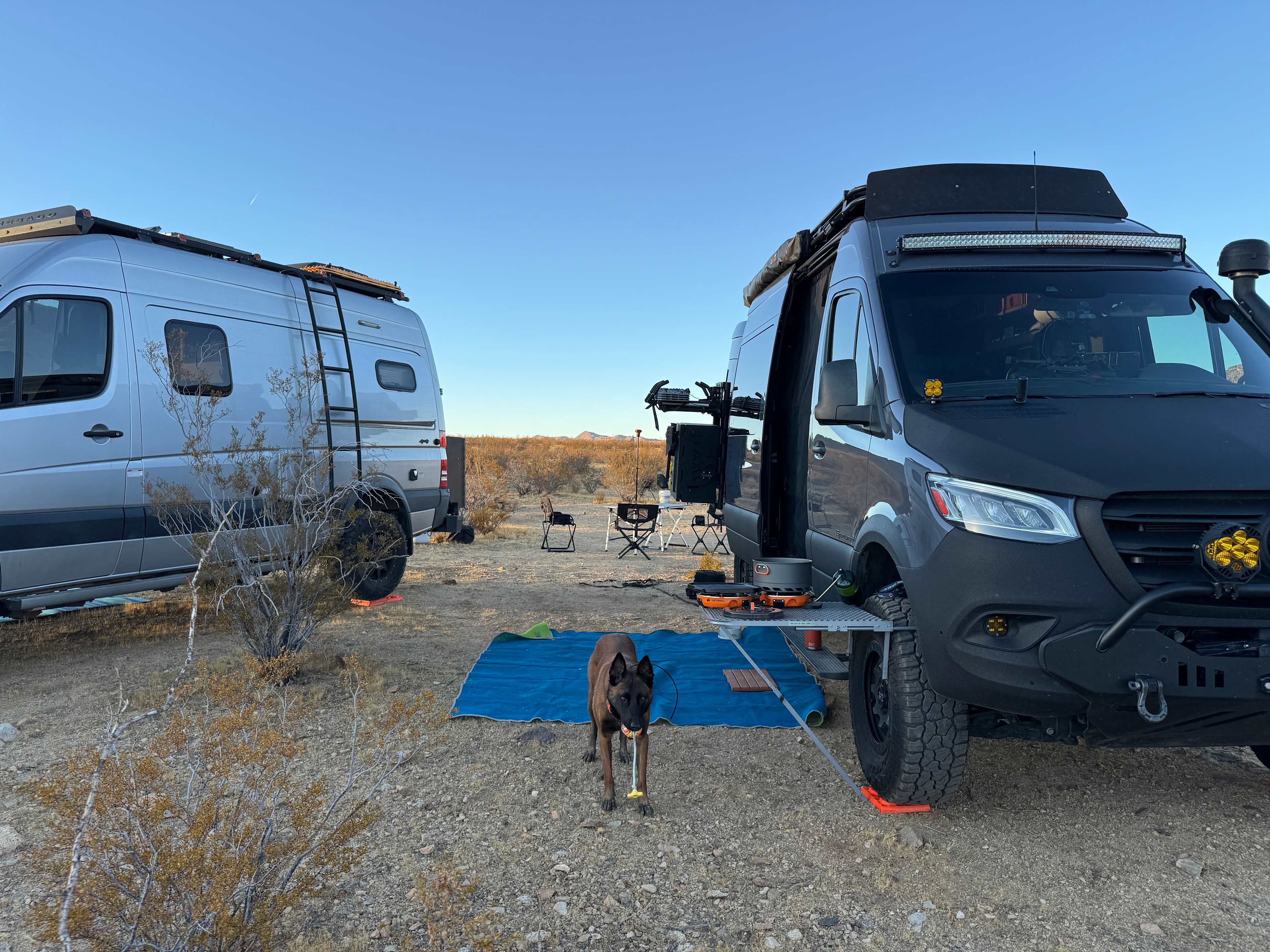 Mojave Moonlight Camping
