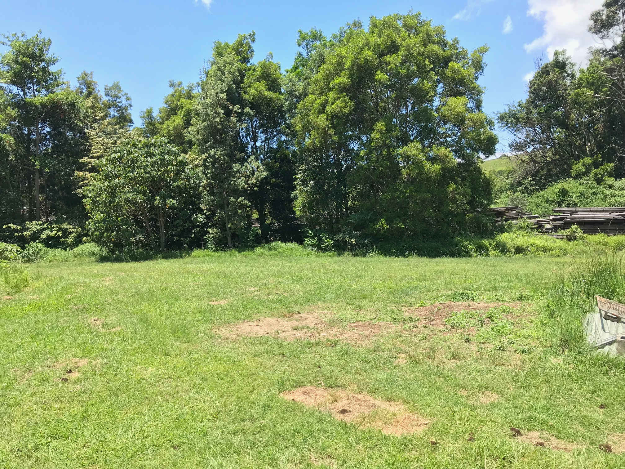 Sheep Paddock