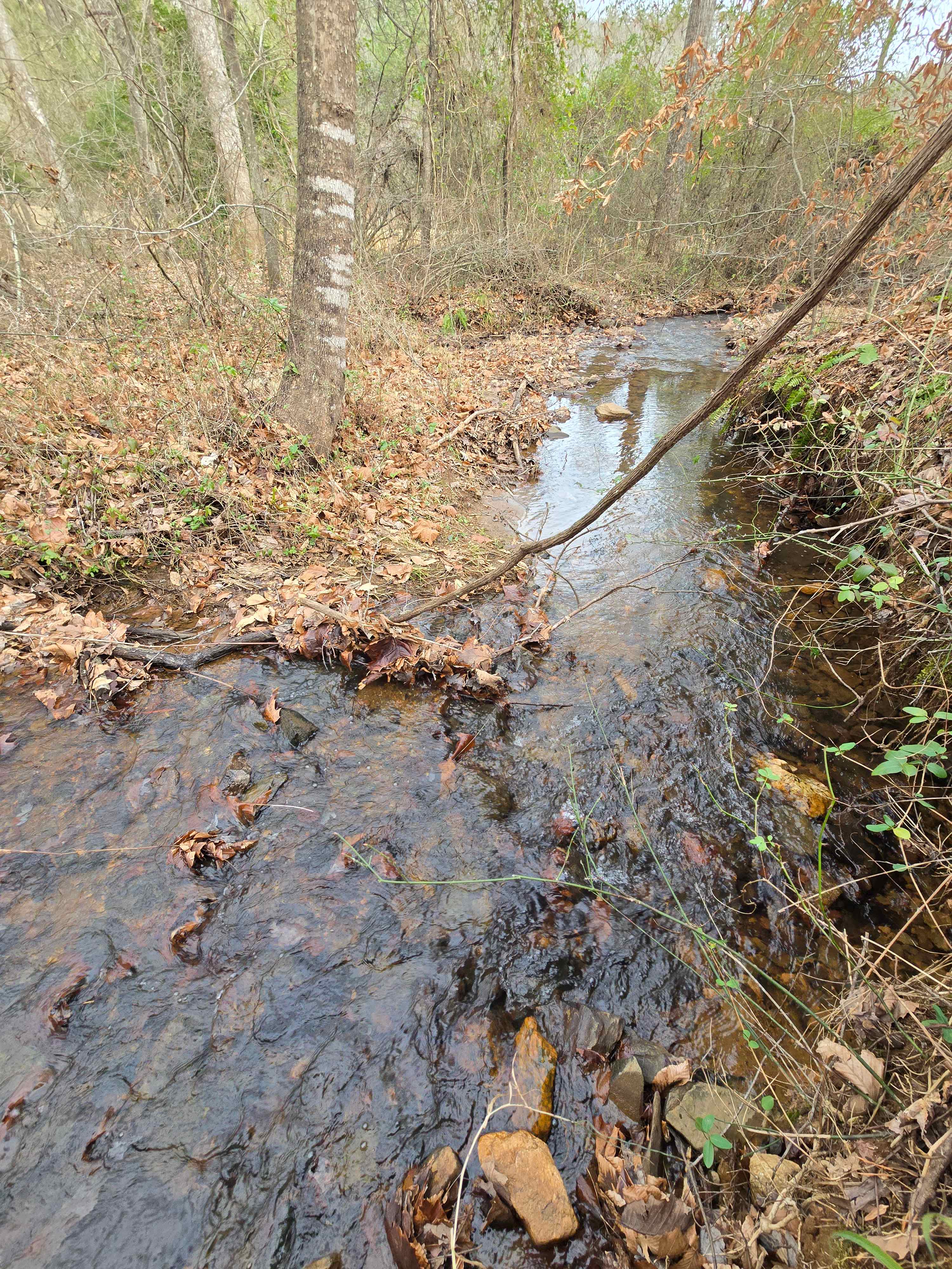 Waller Farm on Peter’s Creek