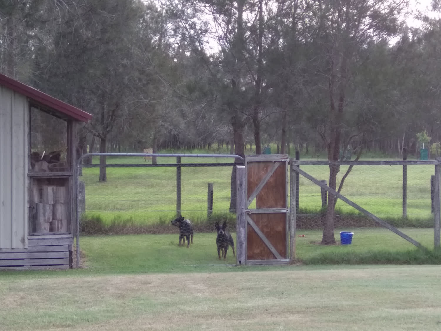 Near and Far Yamba