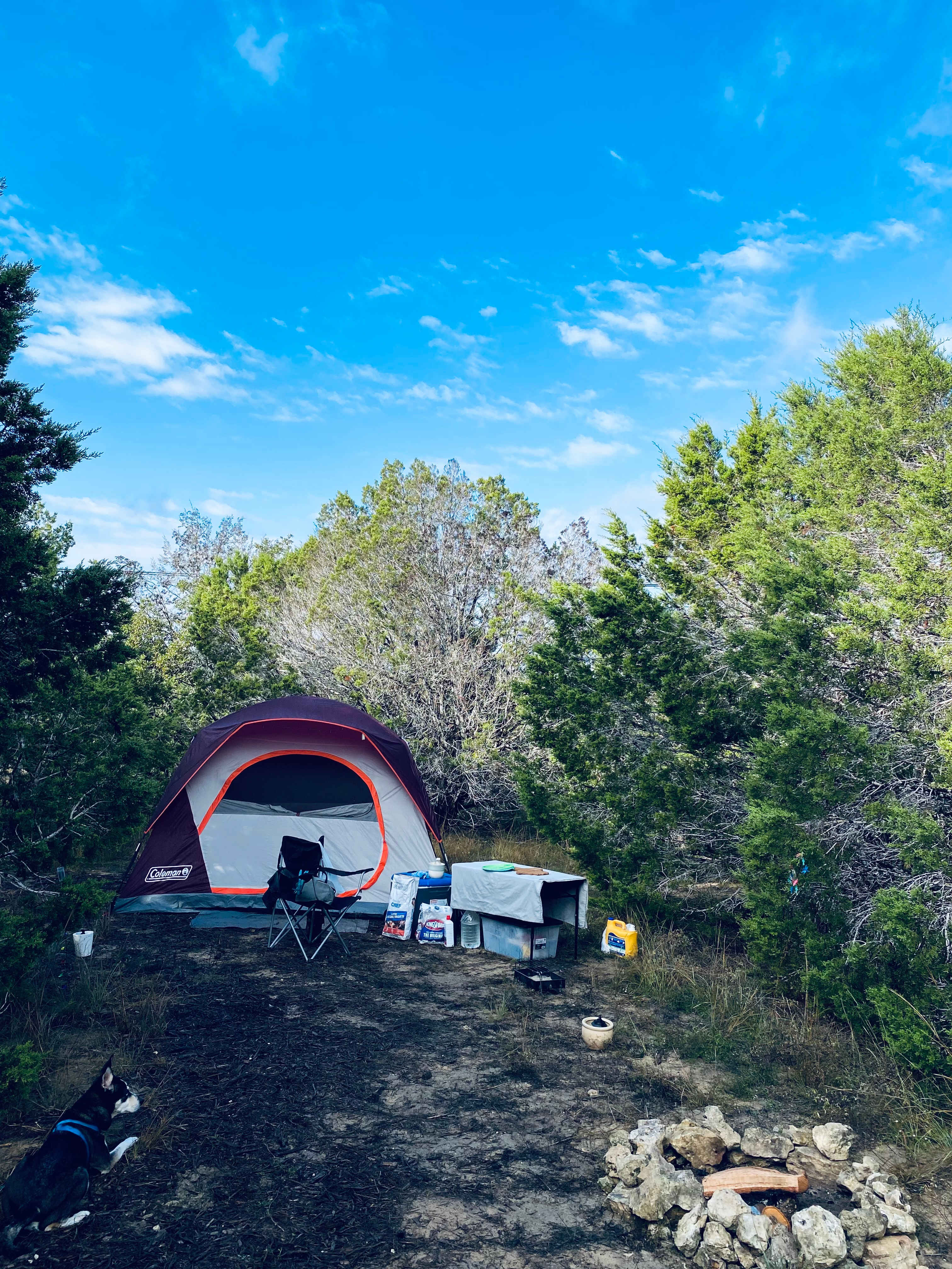 Picture of the site