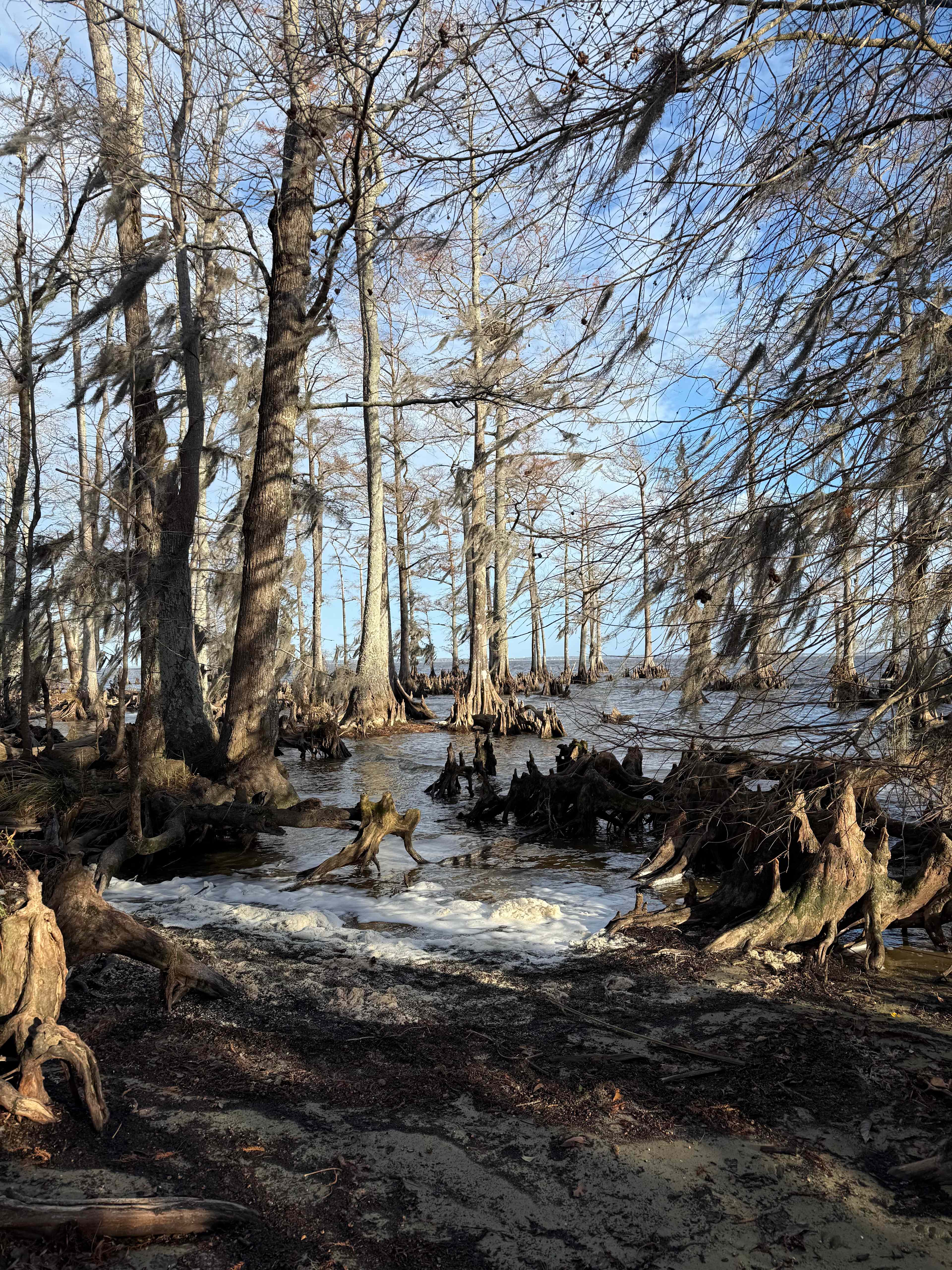 Spruill Conservation Farm