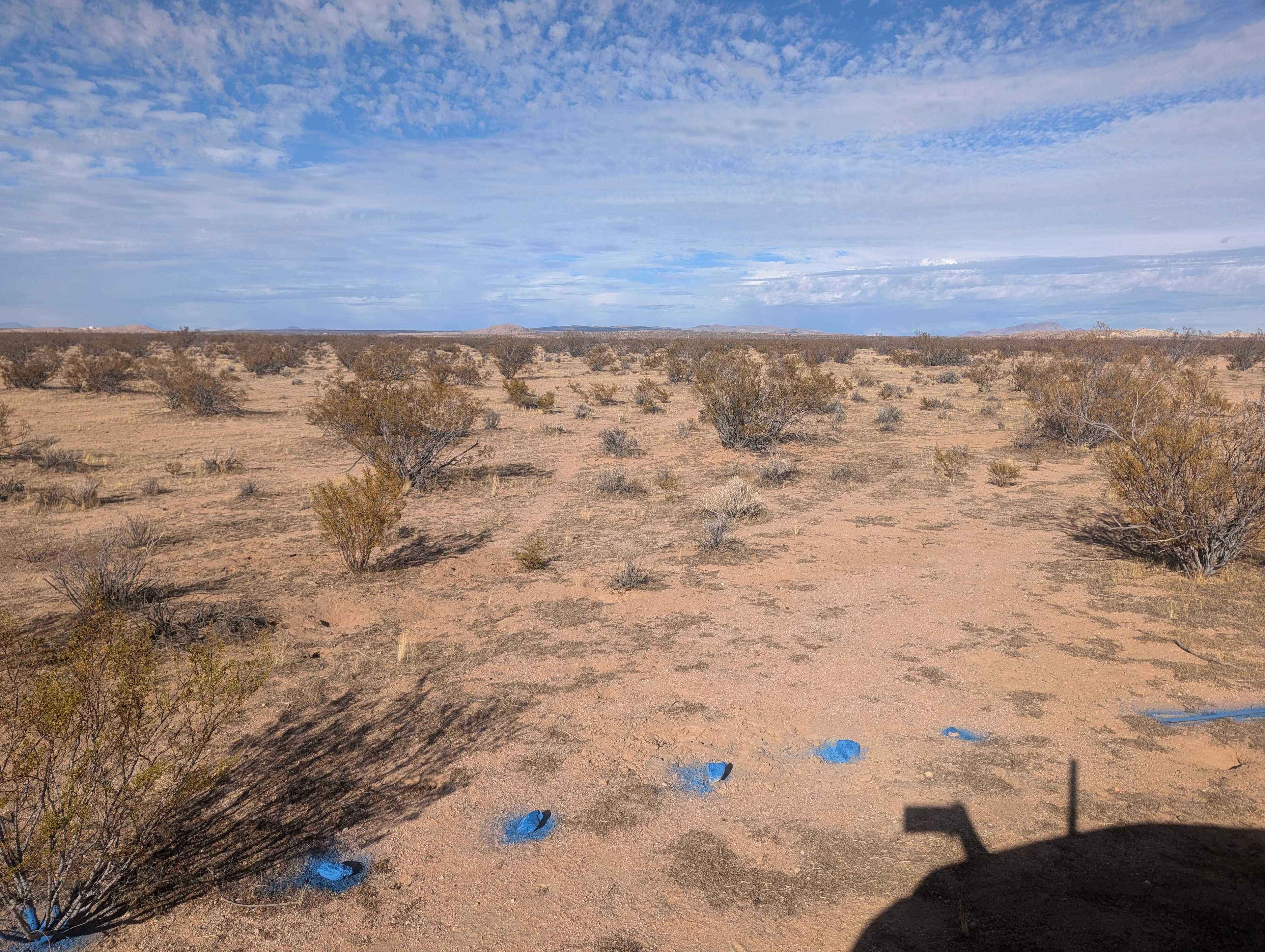 Desert Stargazers Dream