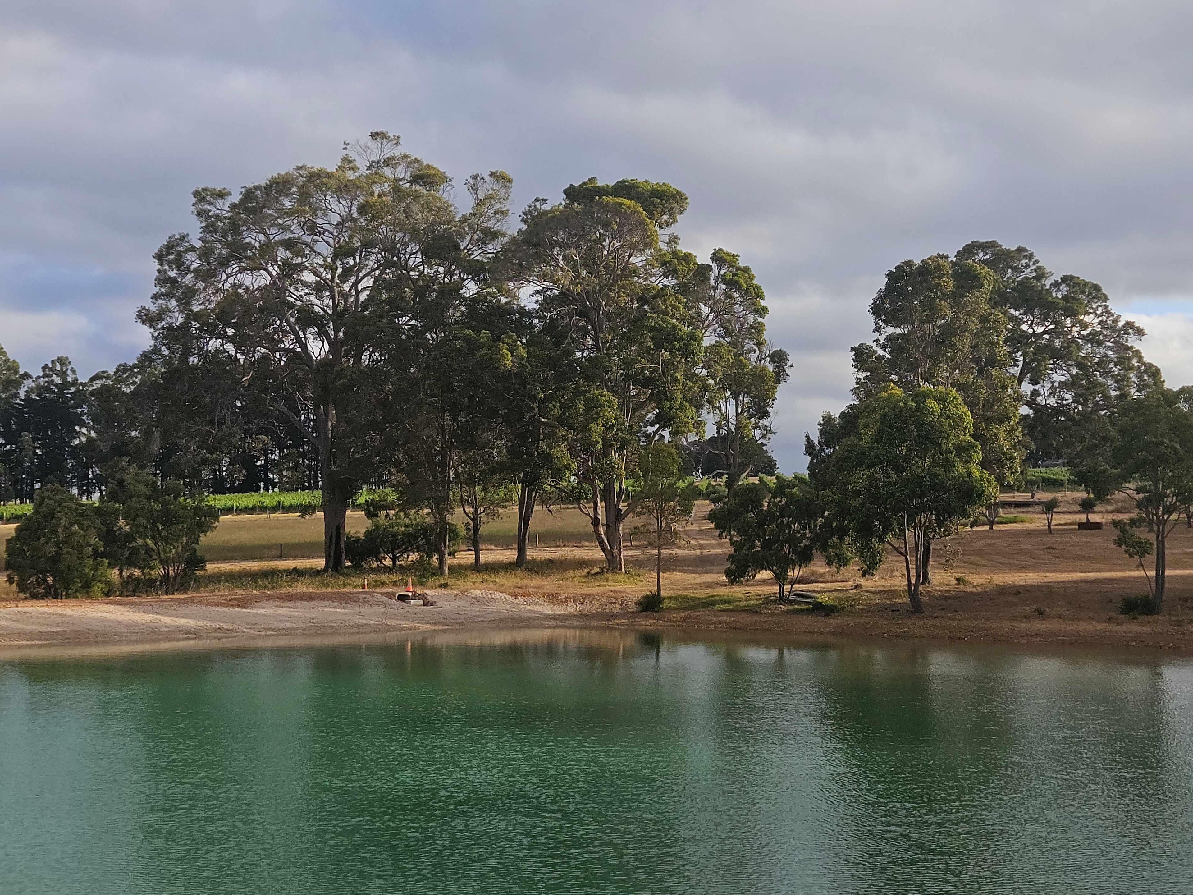 Margaret River - Rosa Glen Farm
