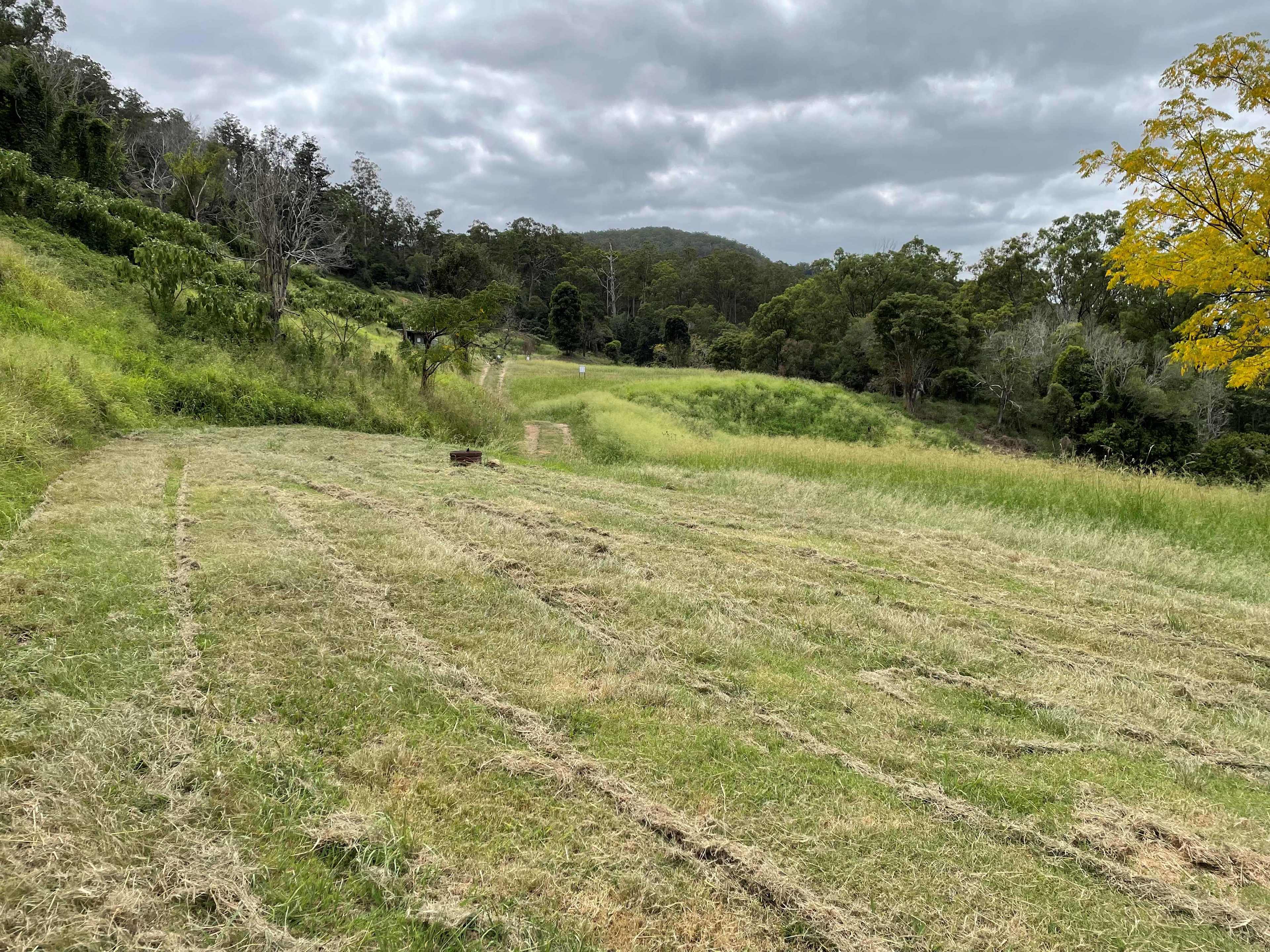 Adventure Park Scenic Rim