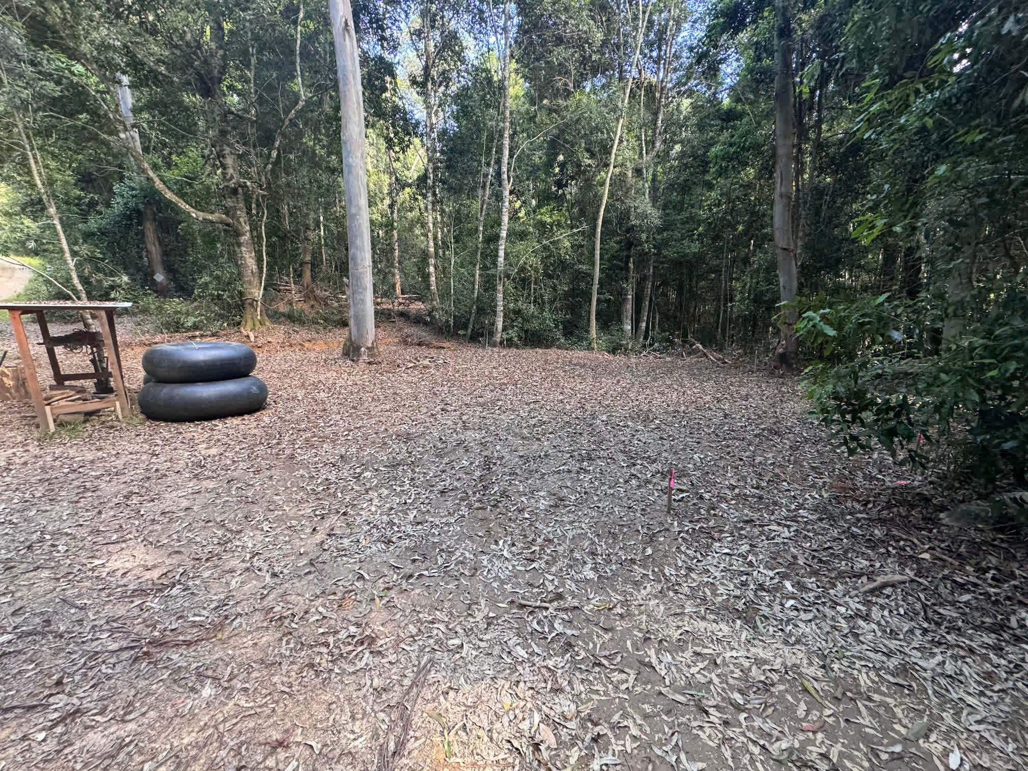 Frog Hollow Rainforest Camping