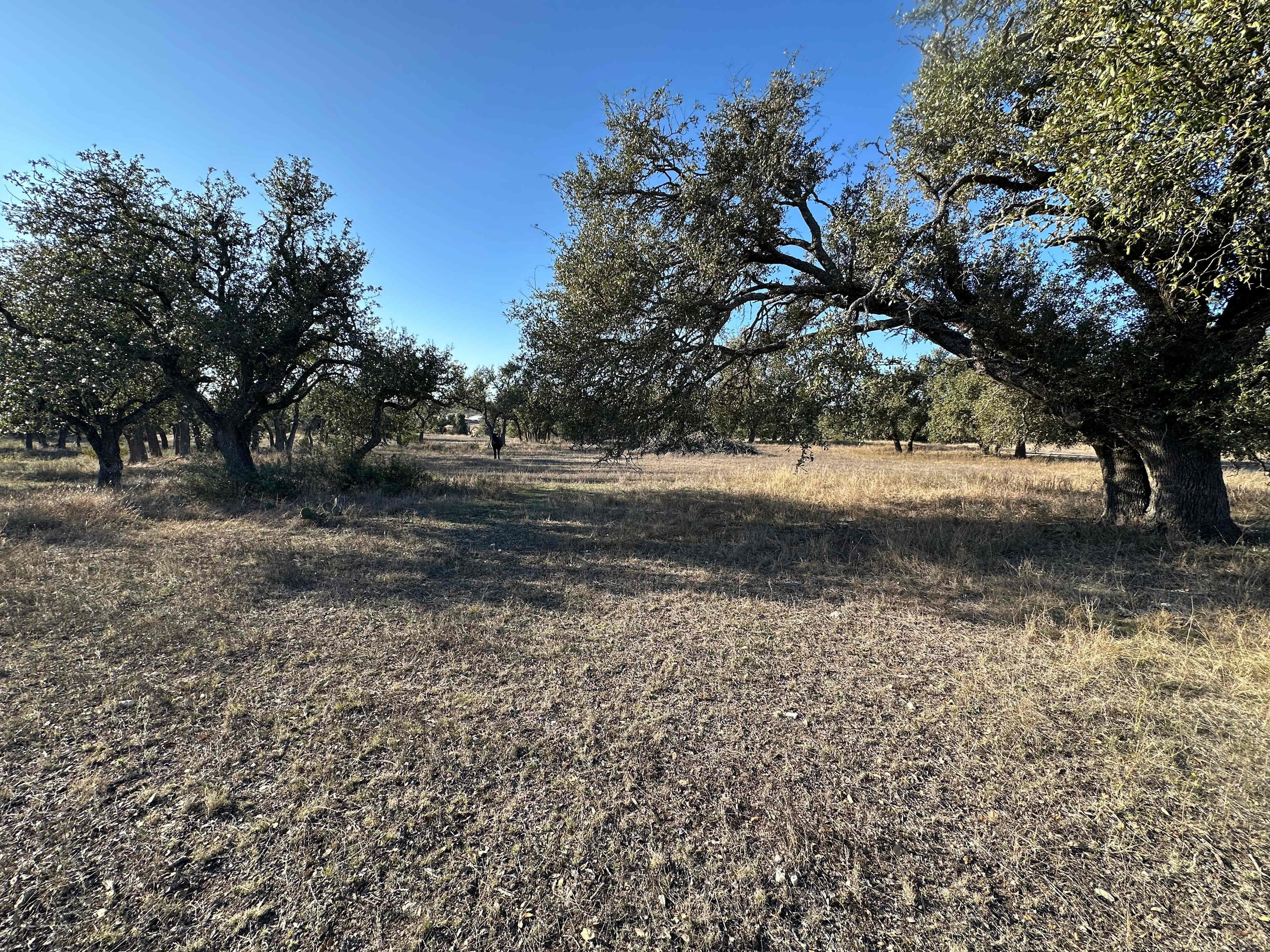 Starlit Flat on the 1873 Ranch