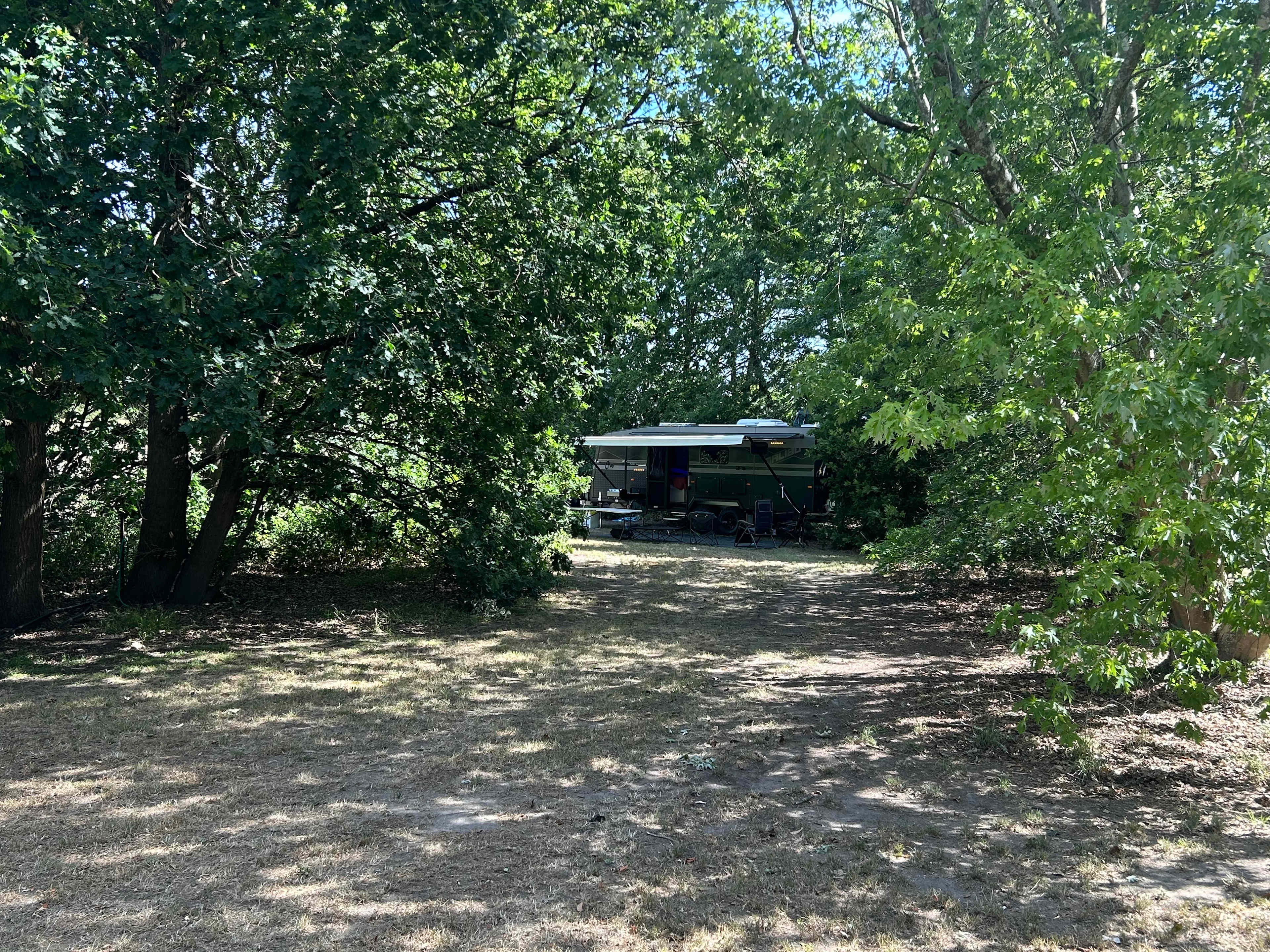 Gorgeous Oak Trees 👌