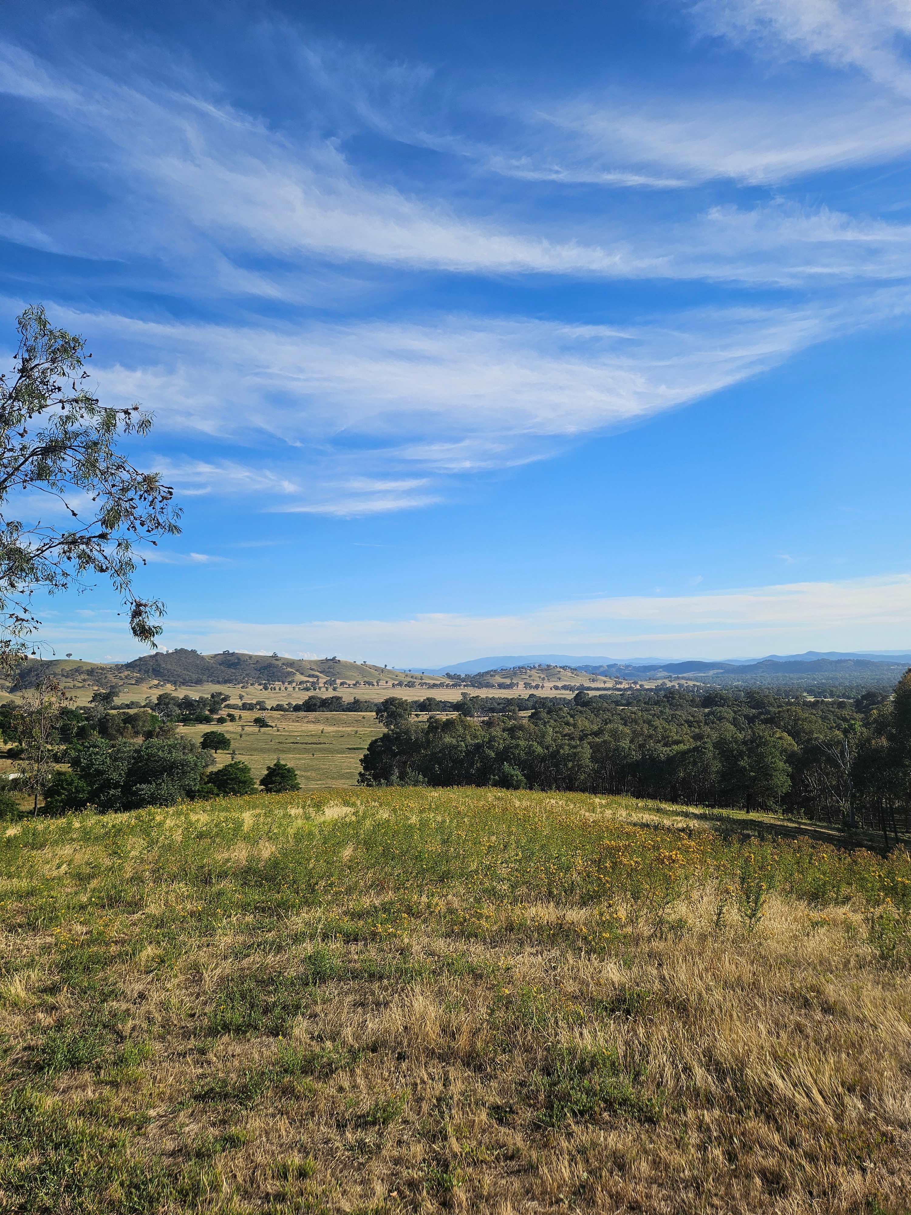Panorama on Oxenbury