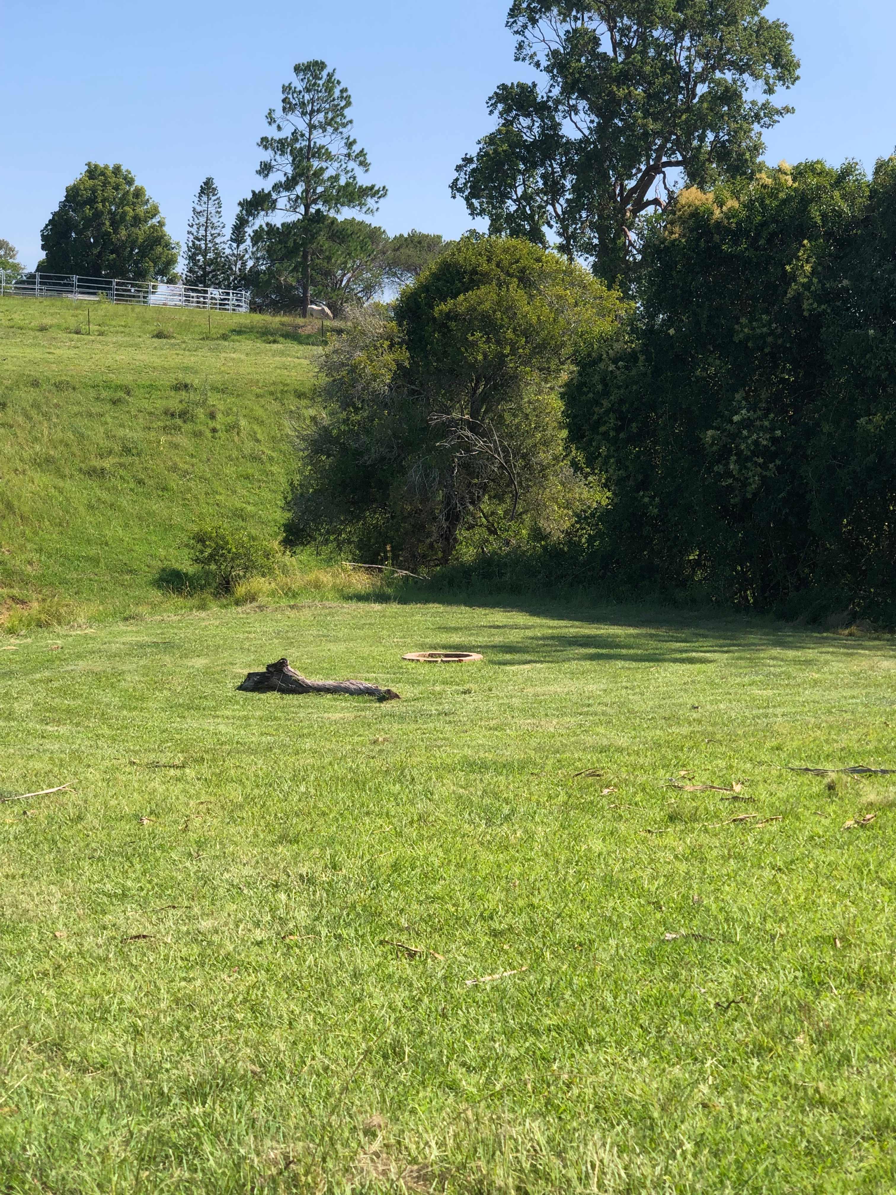 Cameron Falls Farm