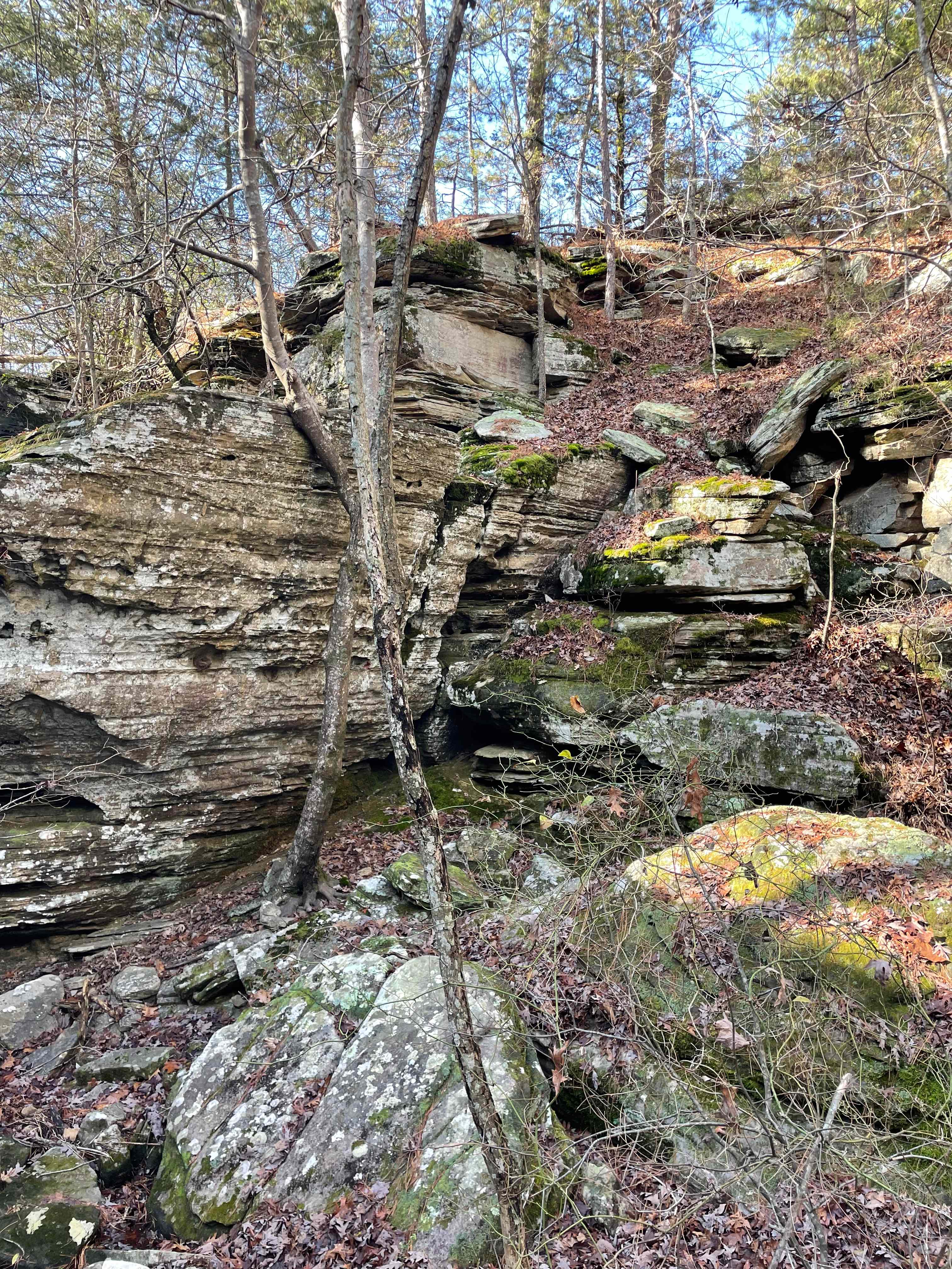 Spring Holler Farm
