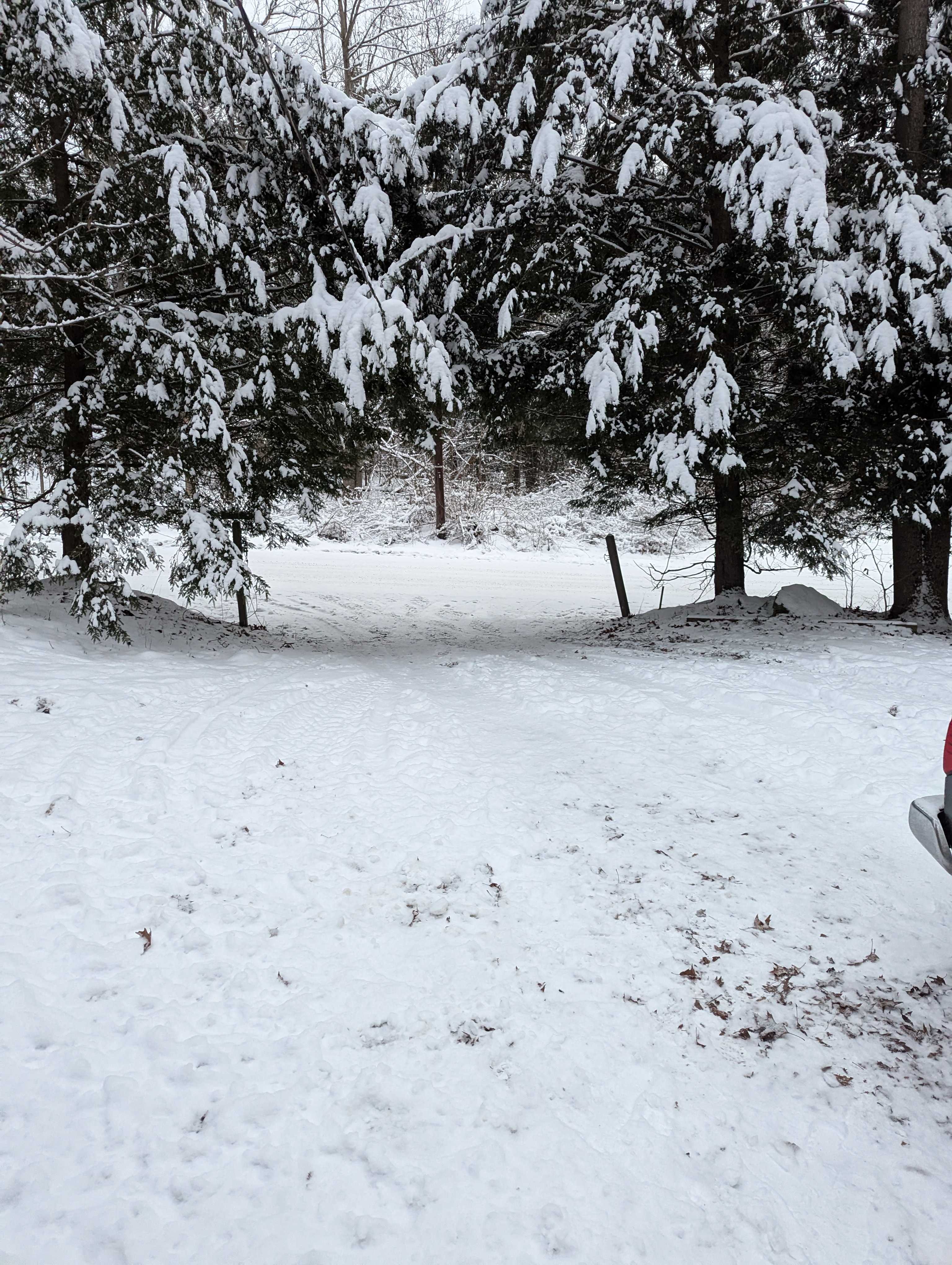 The driveway 