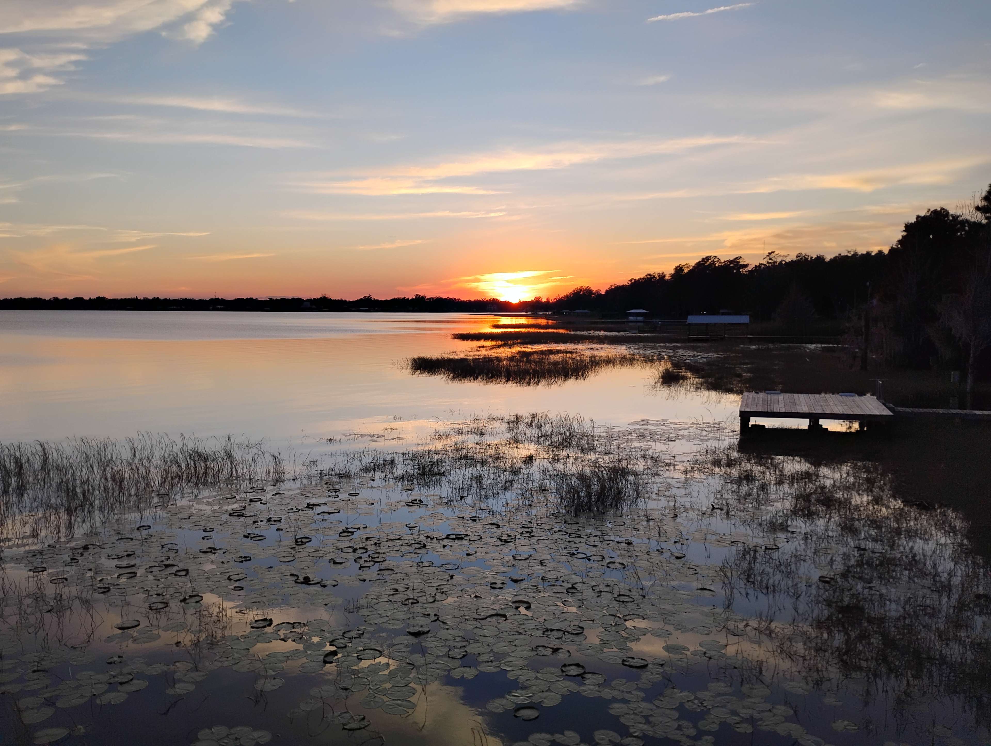 Picturesque Mango Tango Estate