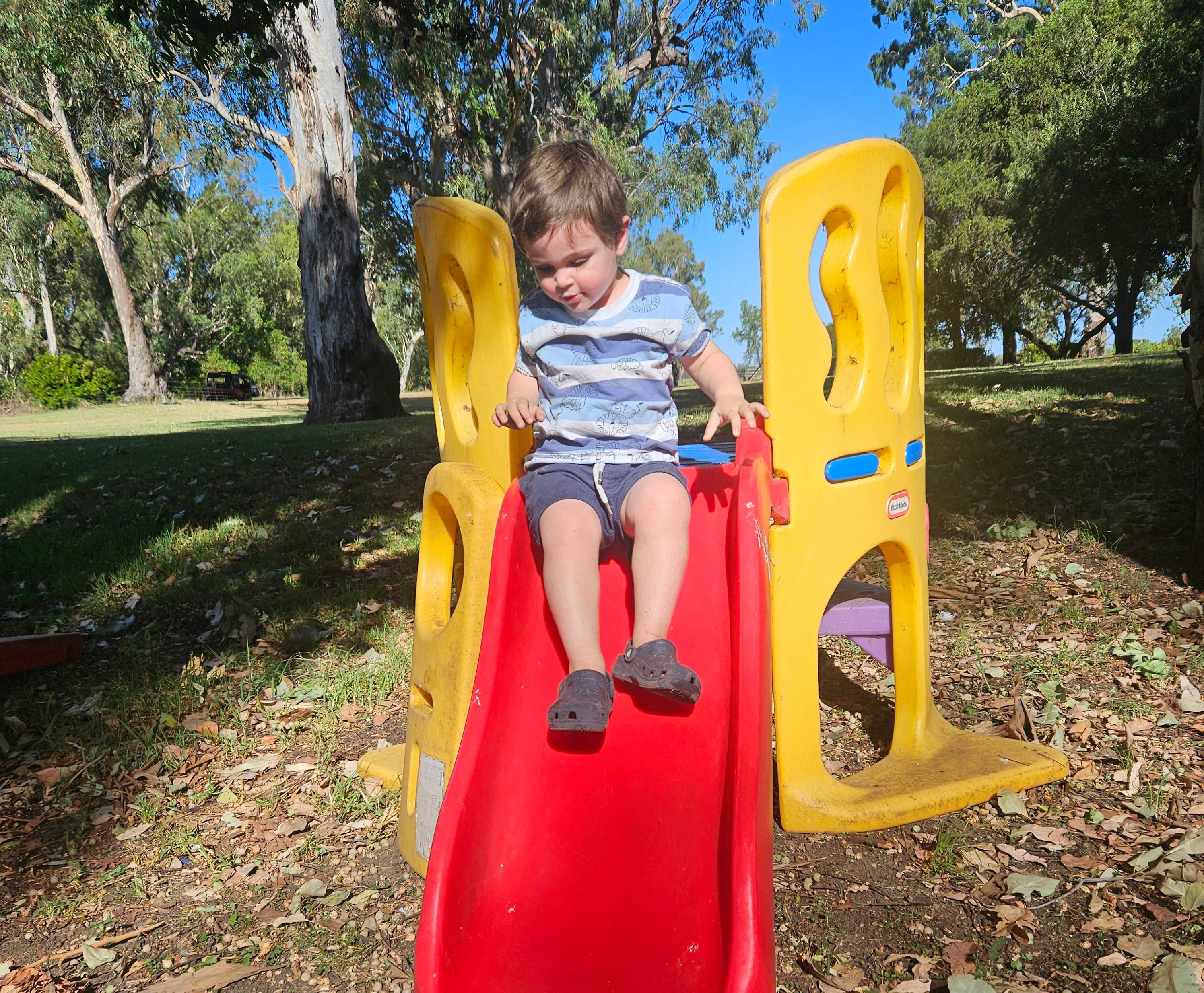 Pringy's Farm Balnagask