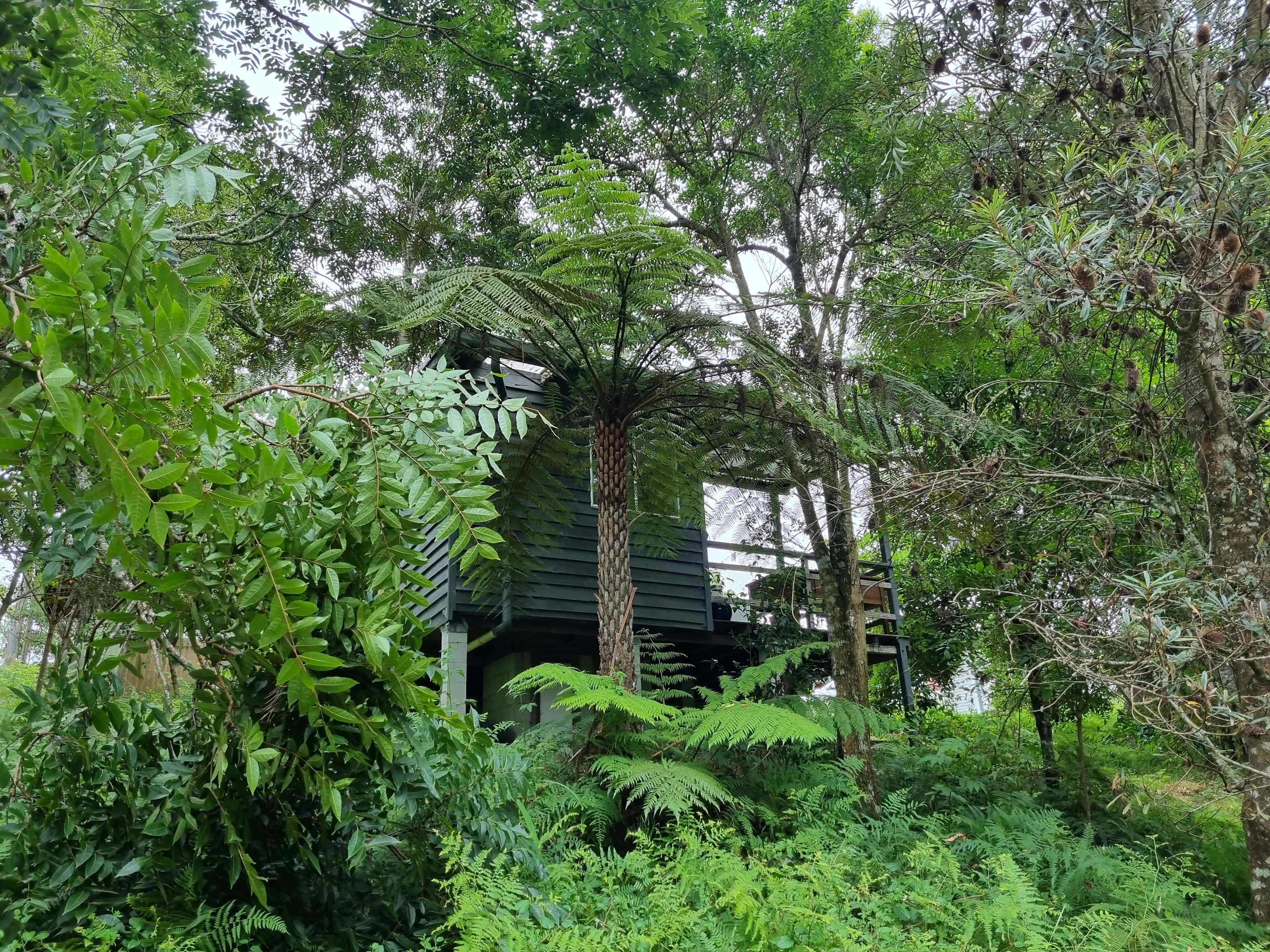 Book the artists studio in addition to your camping spot to take advantage of a designated creative space. Great for your own "artist in residence" program.

(See profile for Artists Studio option)