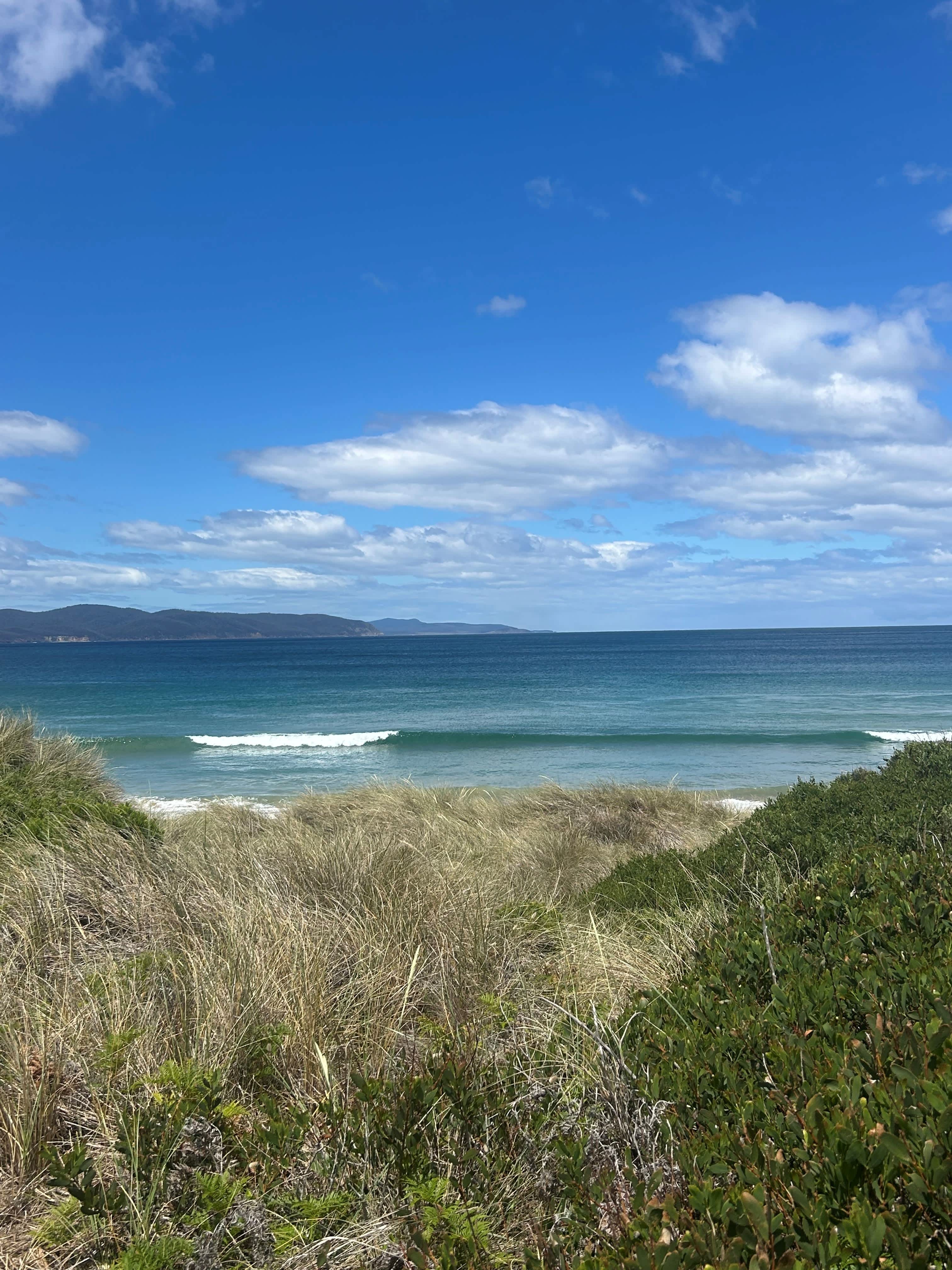 Cowries On Clifton