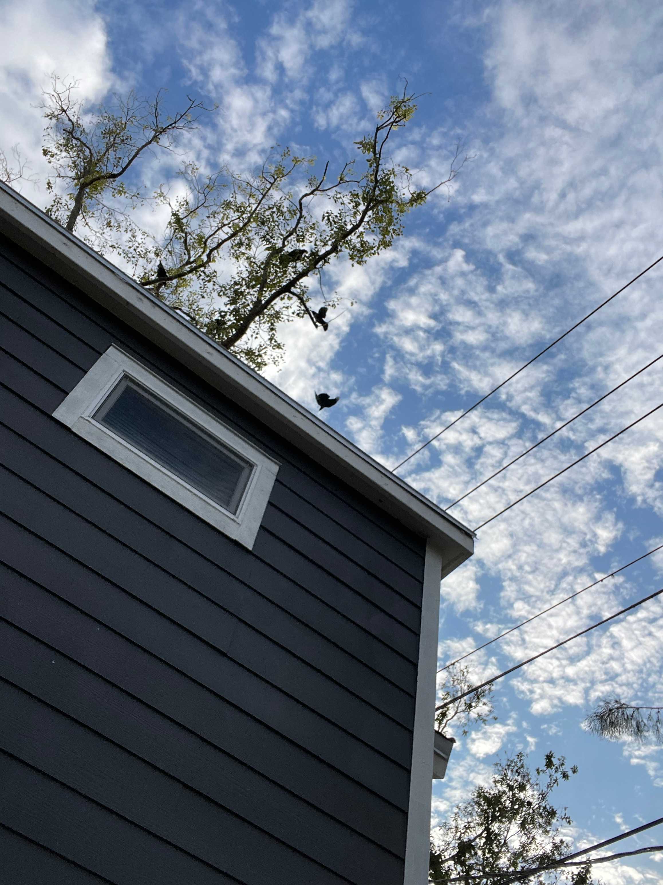 Arbor Terrace RV Resort