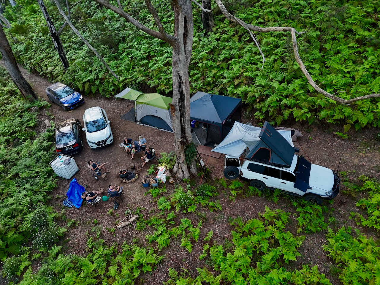 This is our largest site - it can easily accommodate double the cars and tents pictured. We're not precious about the ferns - they grow back very quickly. You get at least 400 sqm completely to yourself - no sharing with others.